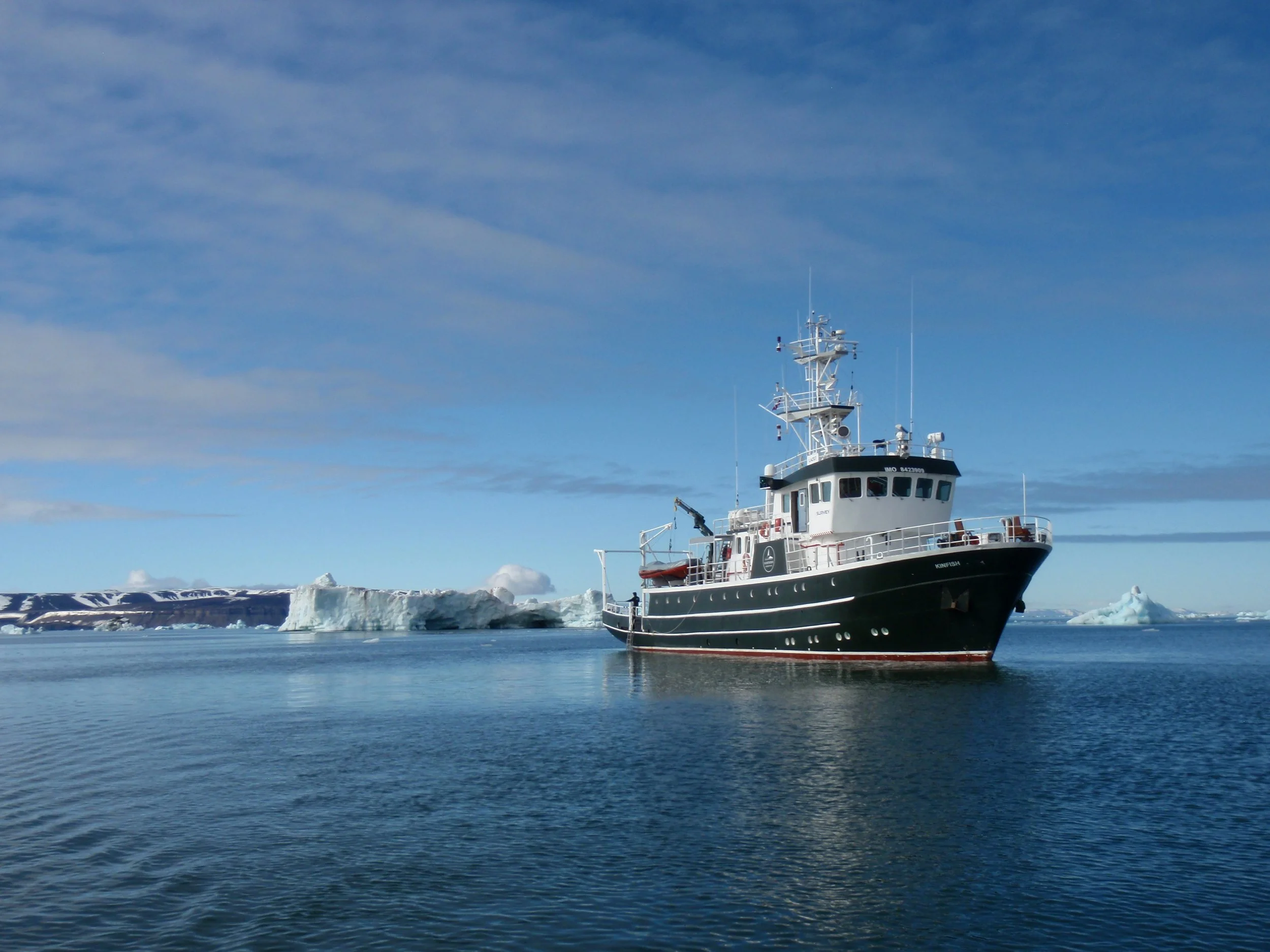 Kinfish and icebergs.JPG