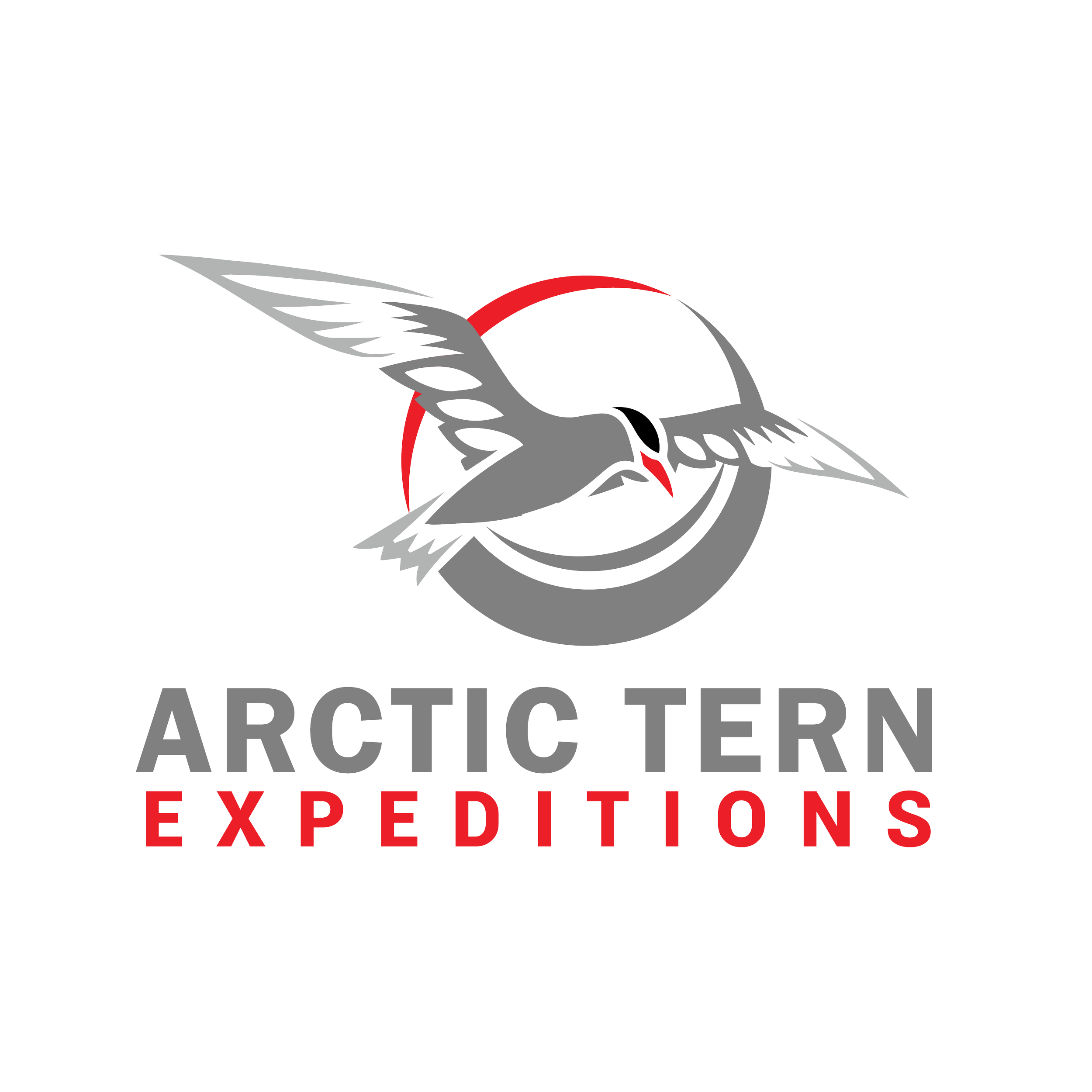 Arctic Tern Expeditions