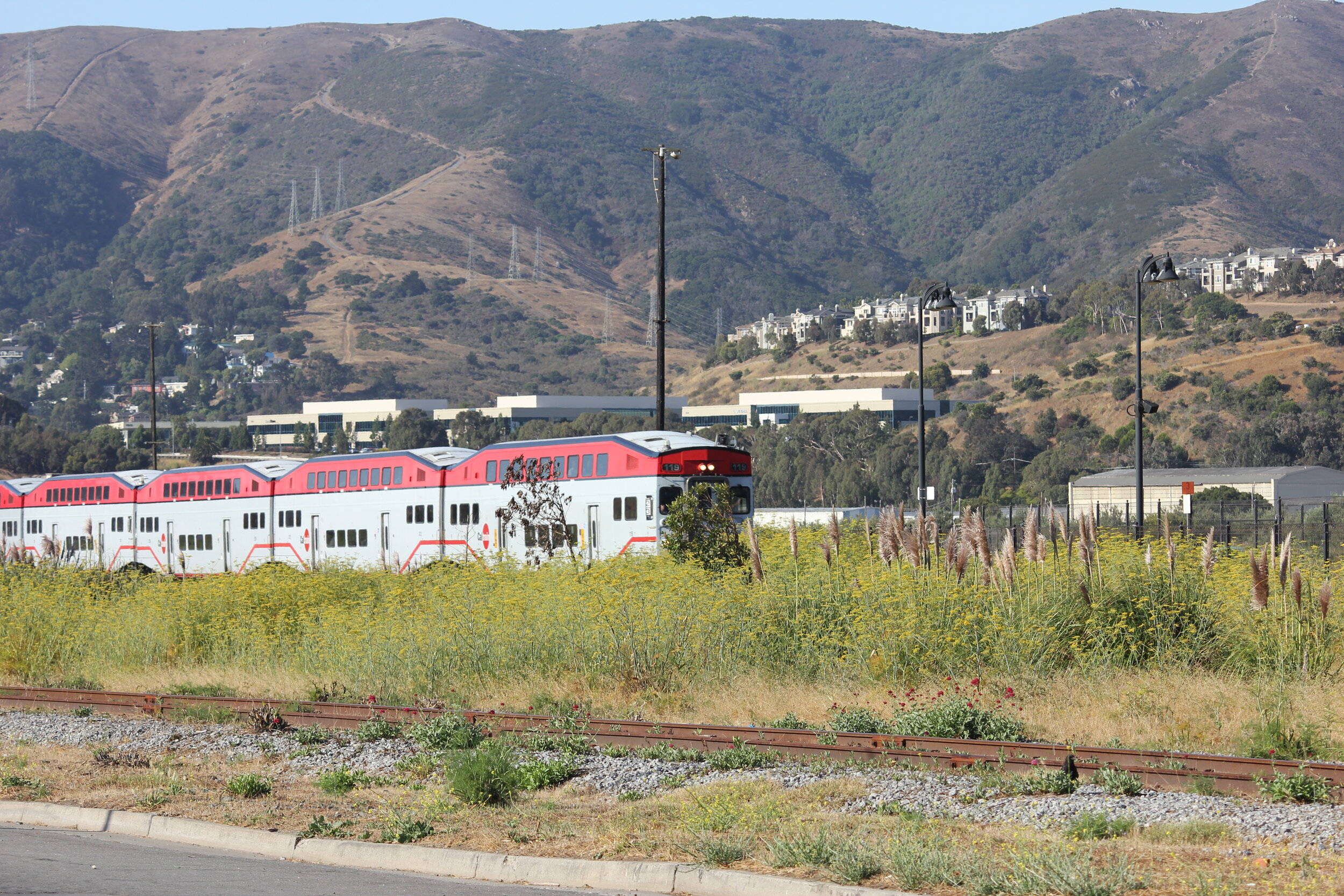 Perspective &amp; Experience: Brisbane: the little town that could