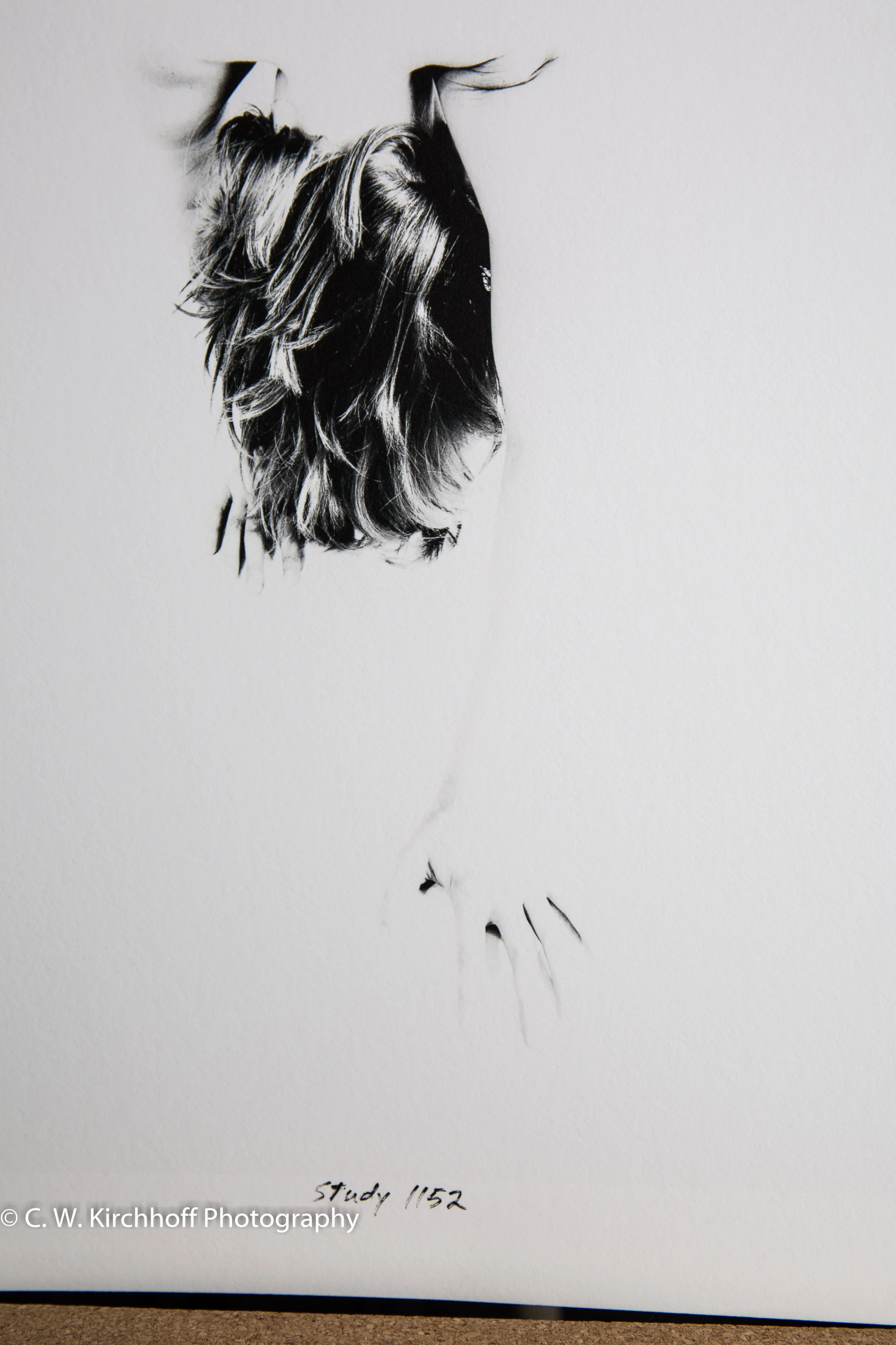 269 (1 of 1).jpg
