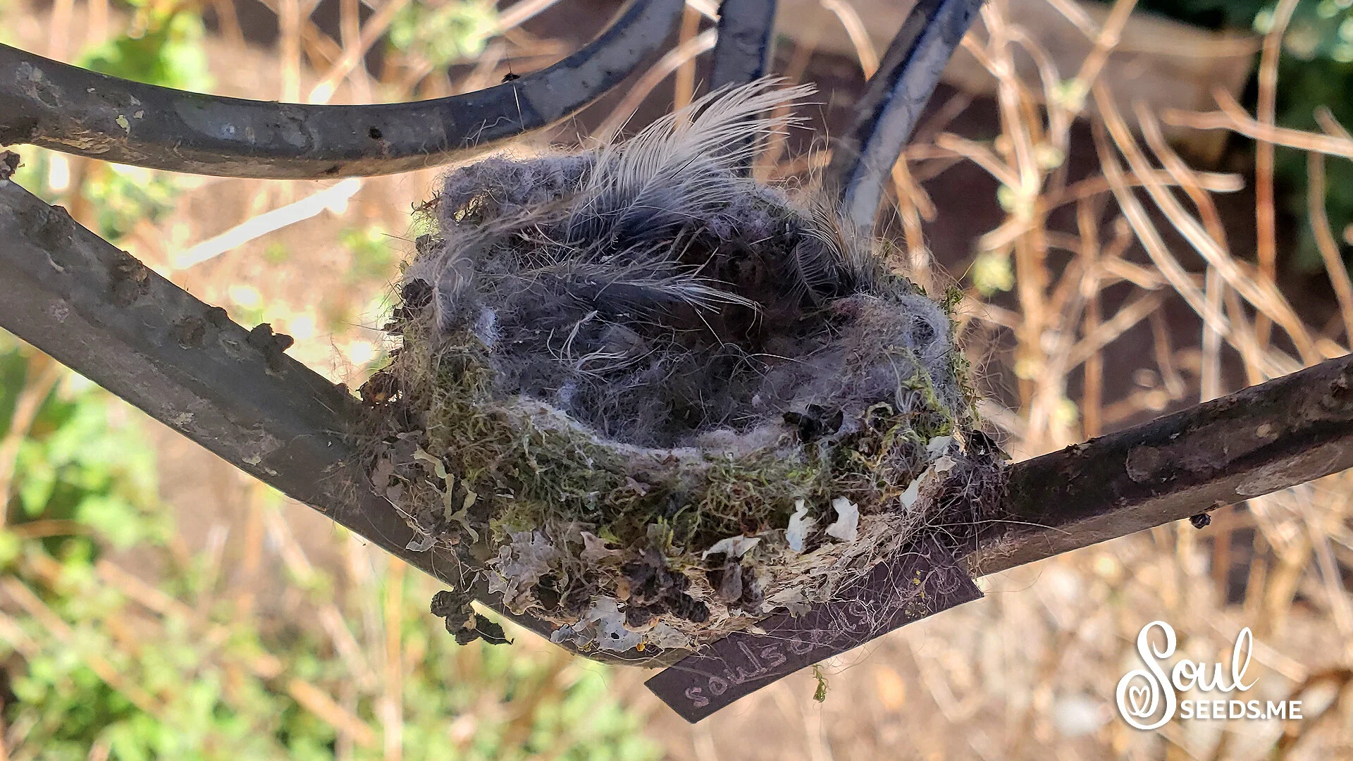 04.26.2020 3...2...1... Blast Off!