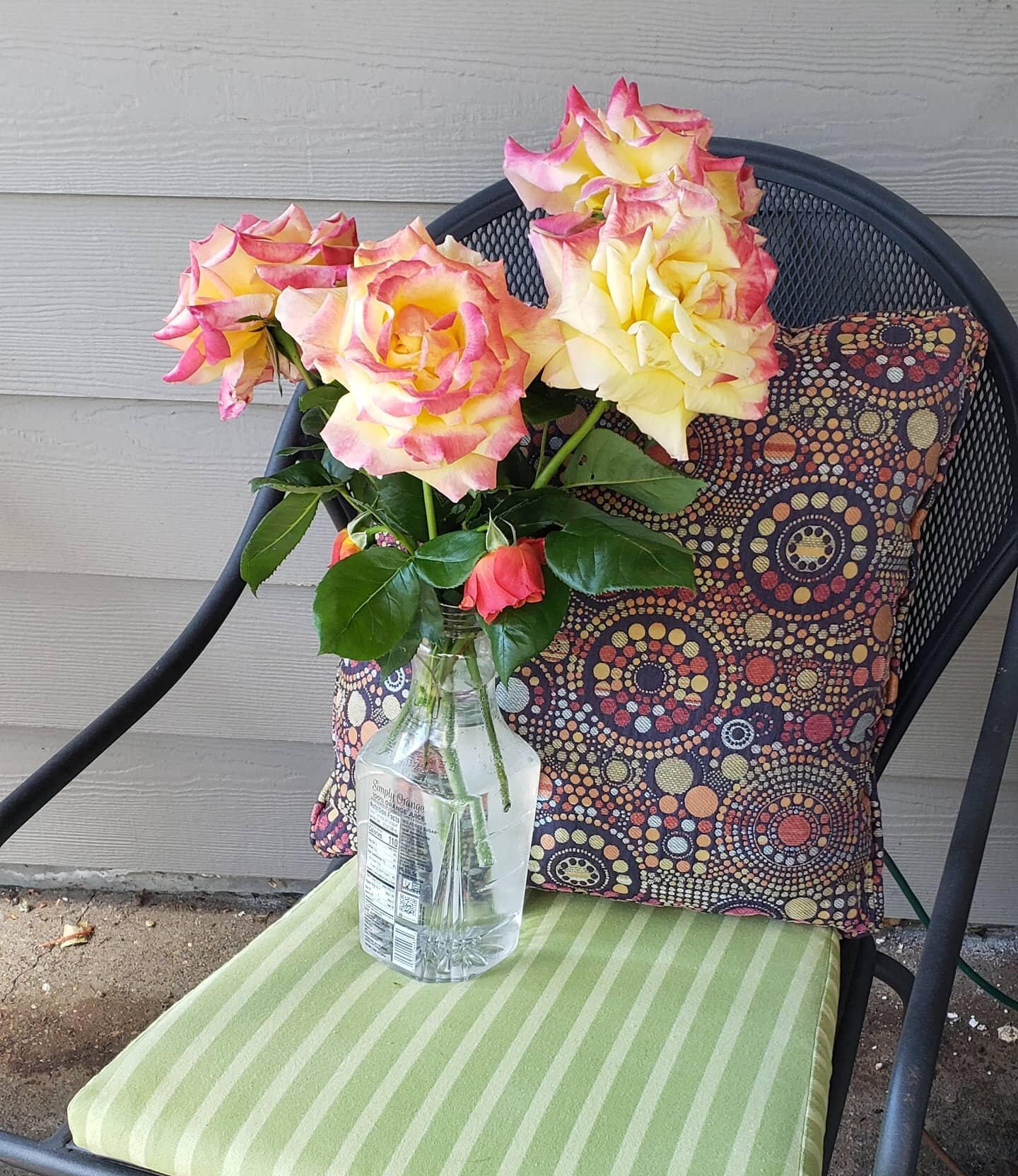 I love porch presents!
💐
Thank you to who left this surprise for Big Mama. They are gorgeous!
💖
#soulseeds
#driedflowers 
#communitymagic 
#newbergoregon 
#flowerartist 
#flowersculpture
#oregonflowers
#rose
#listentomama🌎