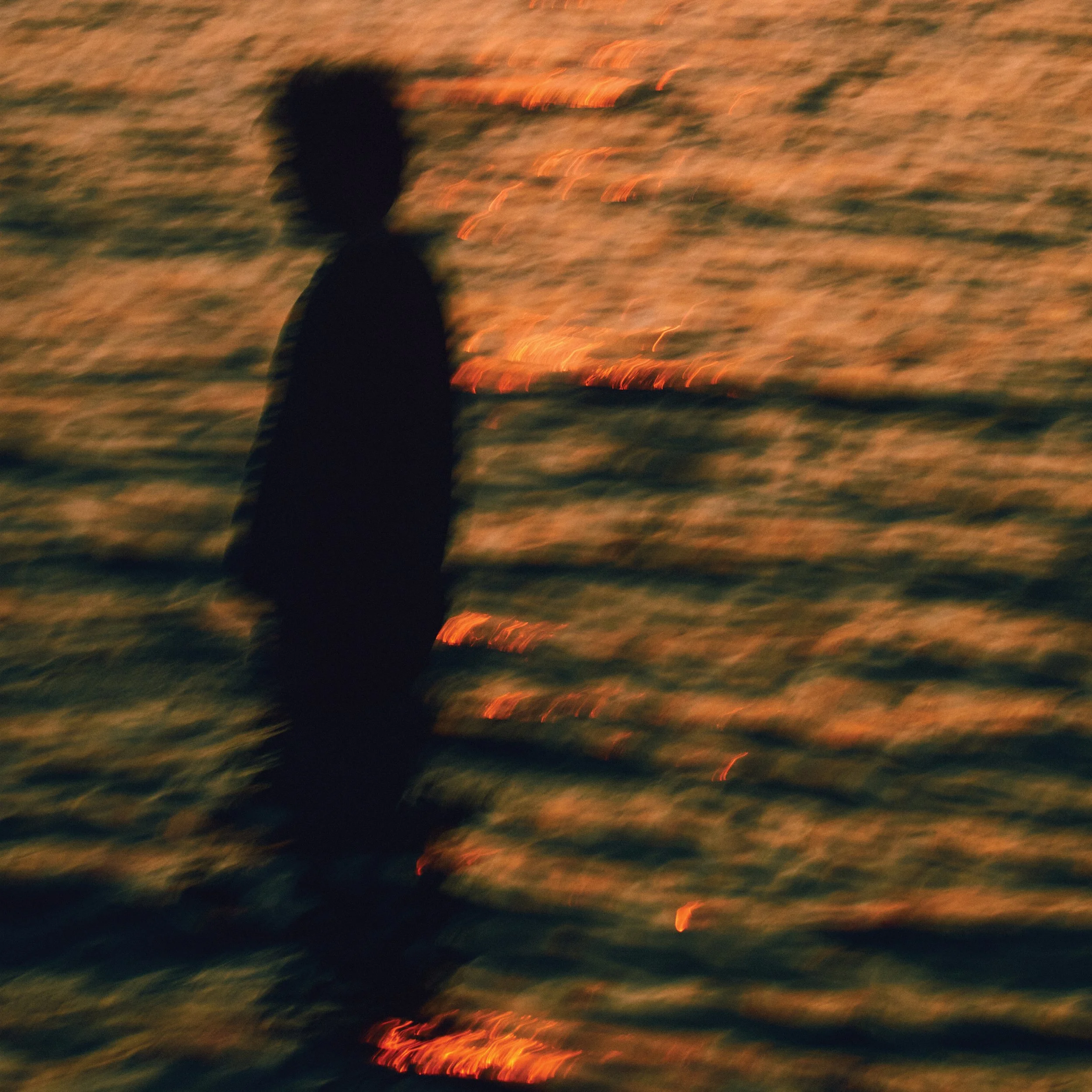 05 Slow Gold inside.JPG