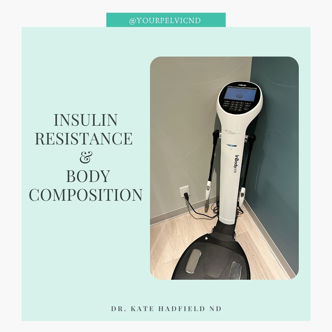 Insulin Resistance &amp; Body Composition

If you&rsquo;re struggling with weight gain and insulin resistance, you need a good body composition analysis.

One of the pillars to healing from insulin resistance is proper nutrition, but it can be confus