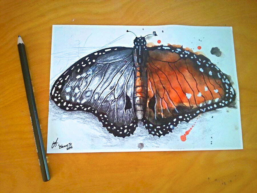 monarch watercolor edited.jpg