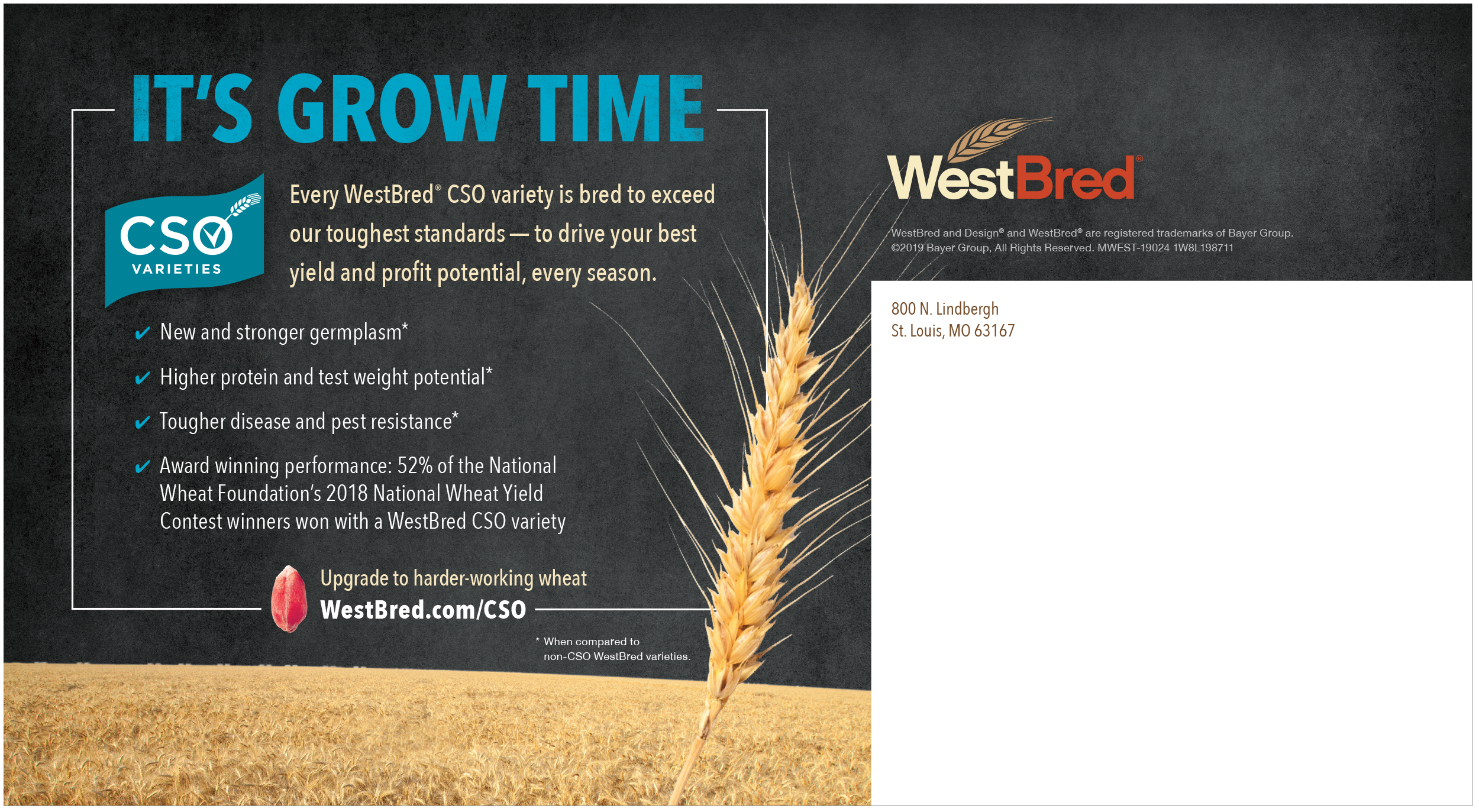 CSO_Lenticular copy_back1.png