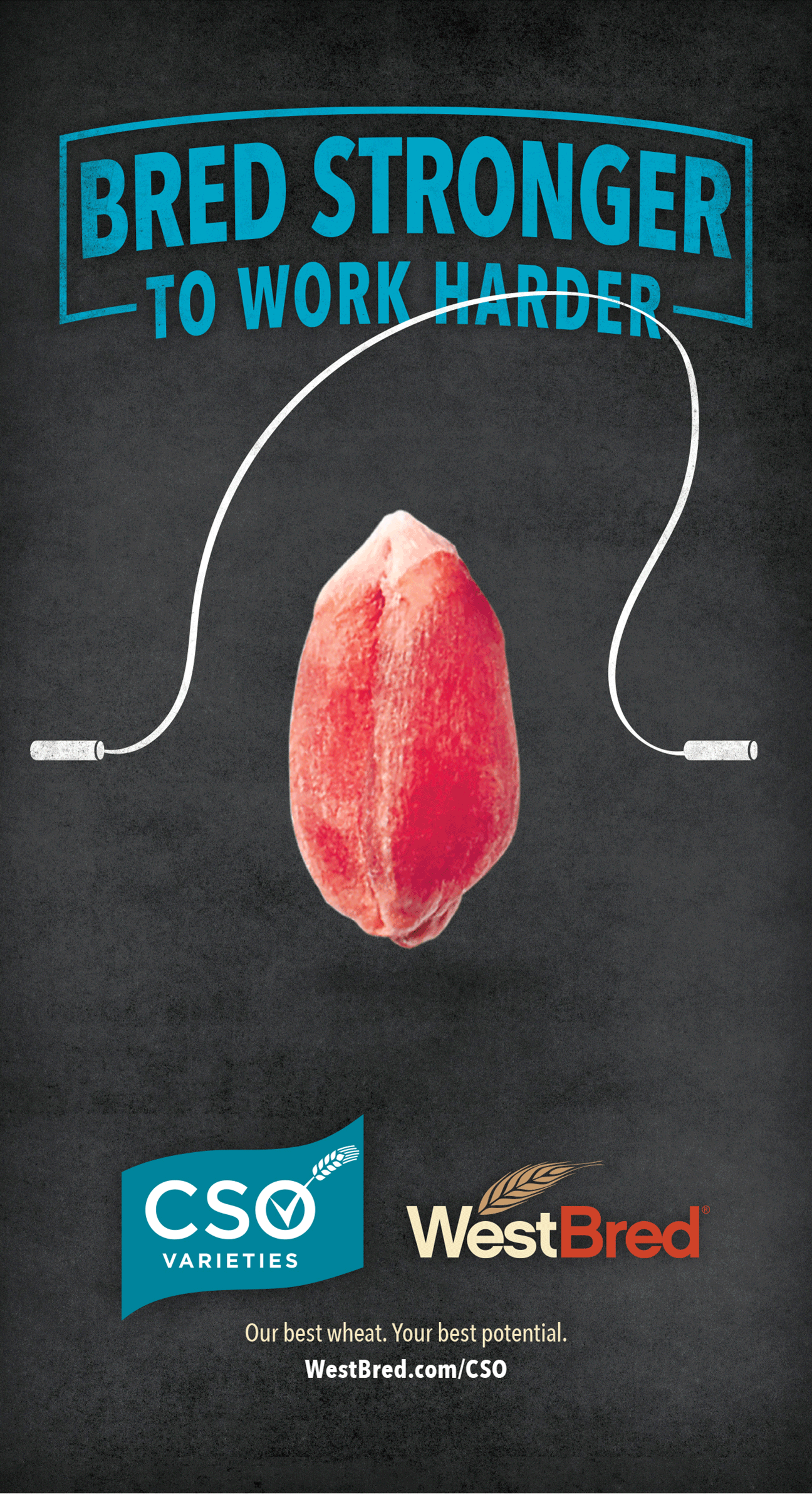  Agency: Brighton Agency  In collaboration with:  Ian Sullivan  copywriting. 