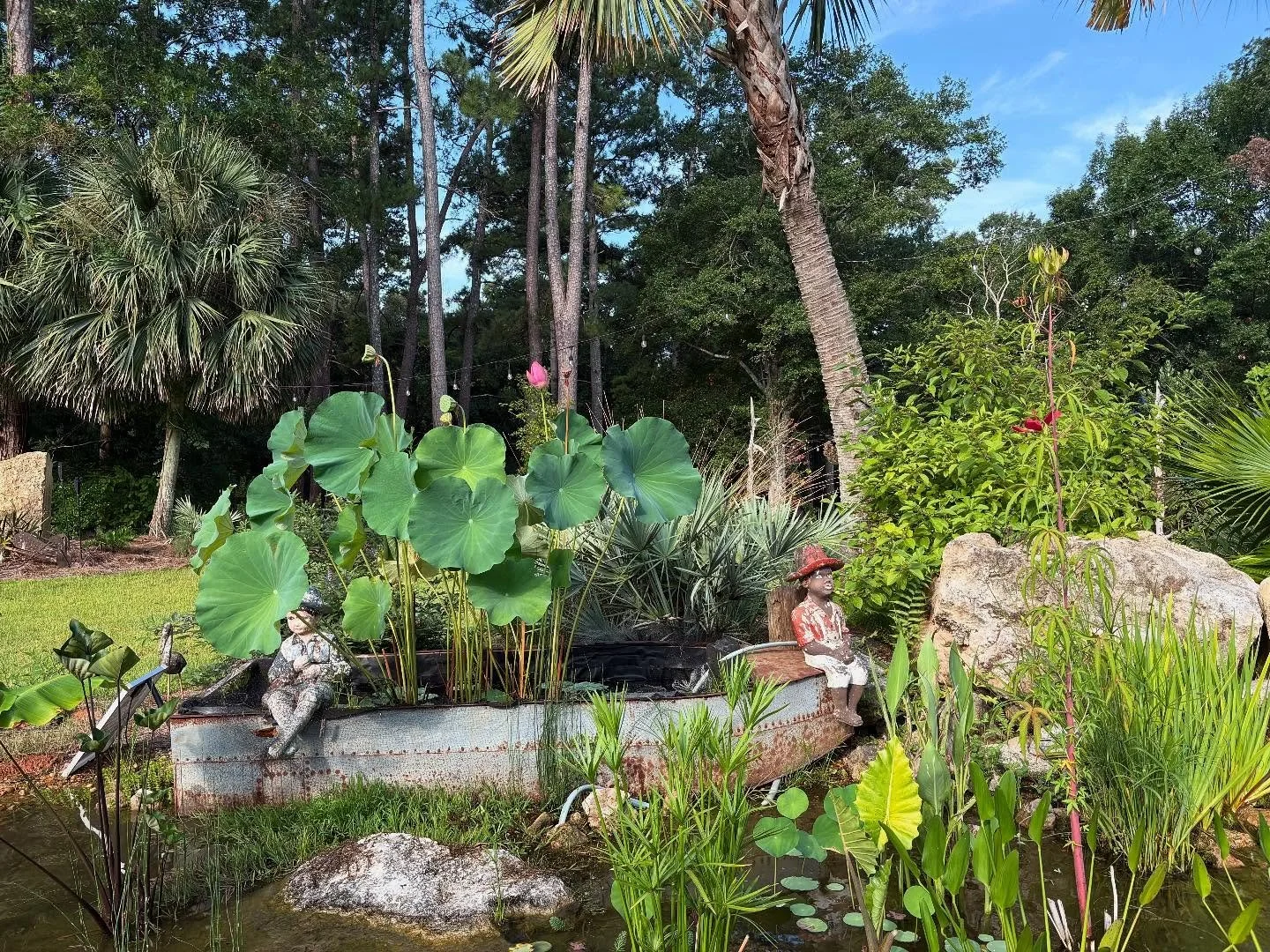 A moment for the lotus #watergarden