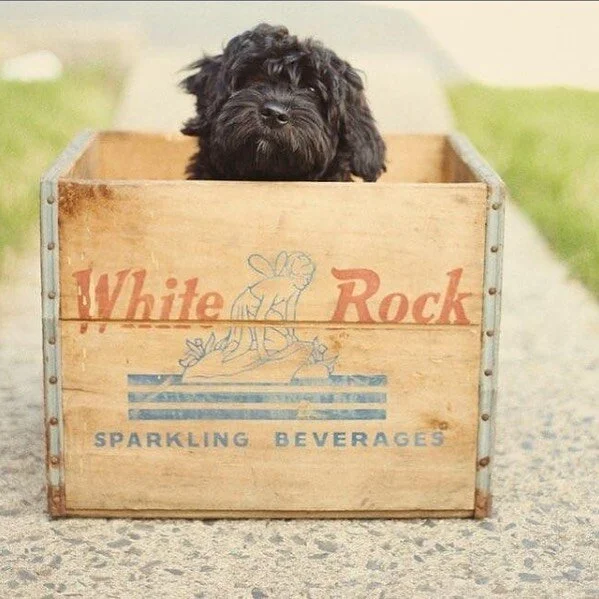 I'll take the good stuff!