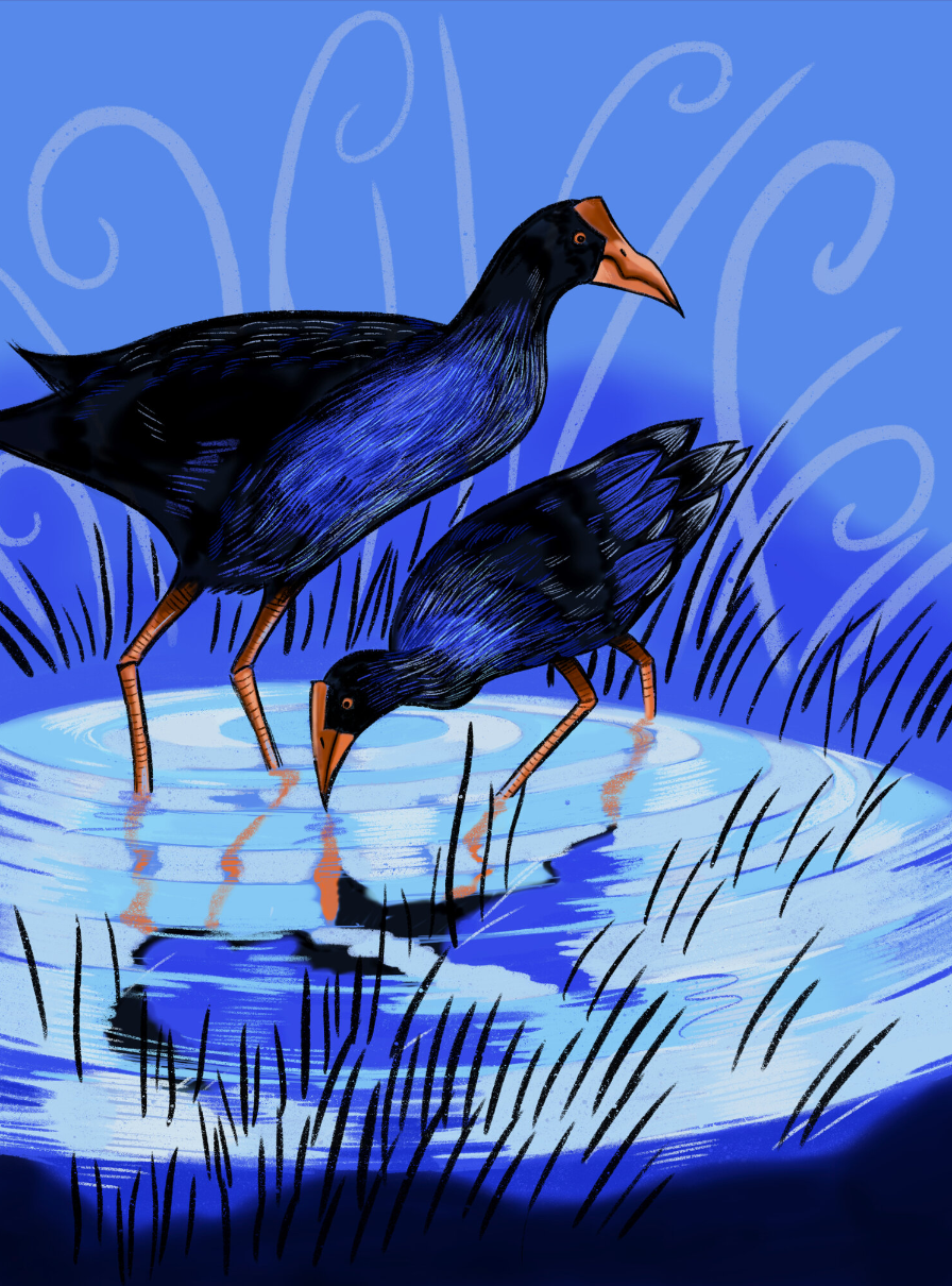 Screenshot 2024-02-24 at 2.15.09 PM.png