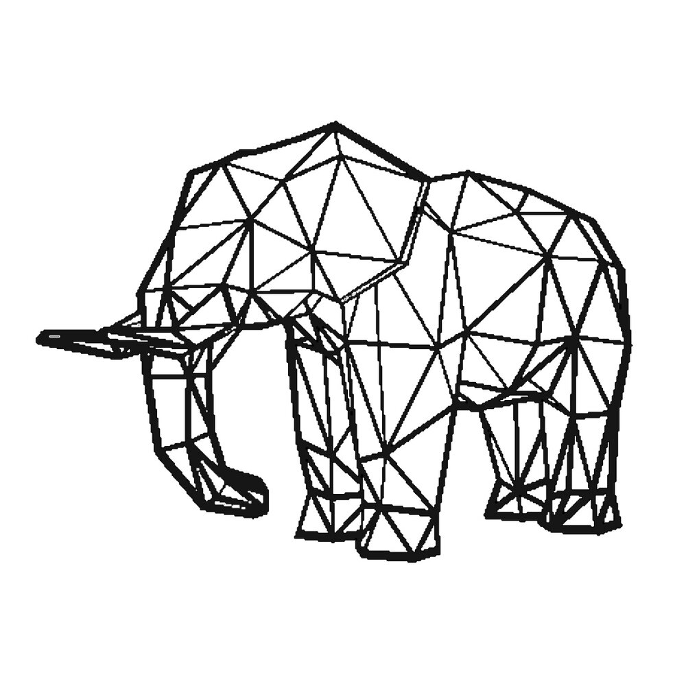The 3D Printed Elephant in the — Nation of