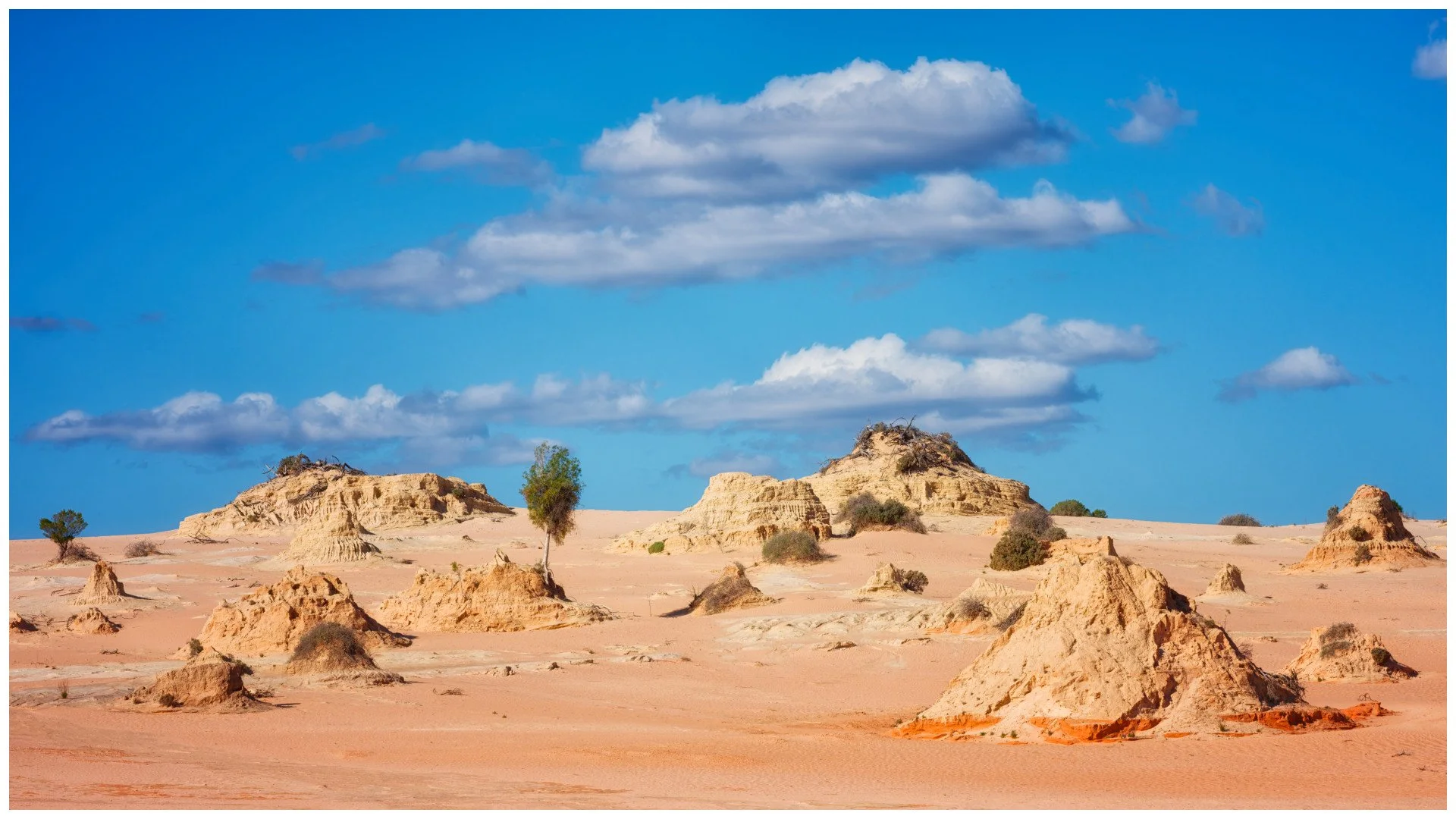 Lake Mungo shoreline