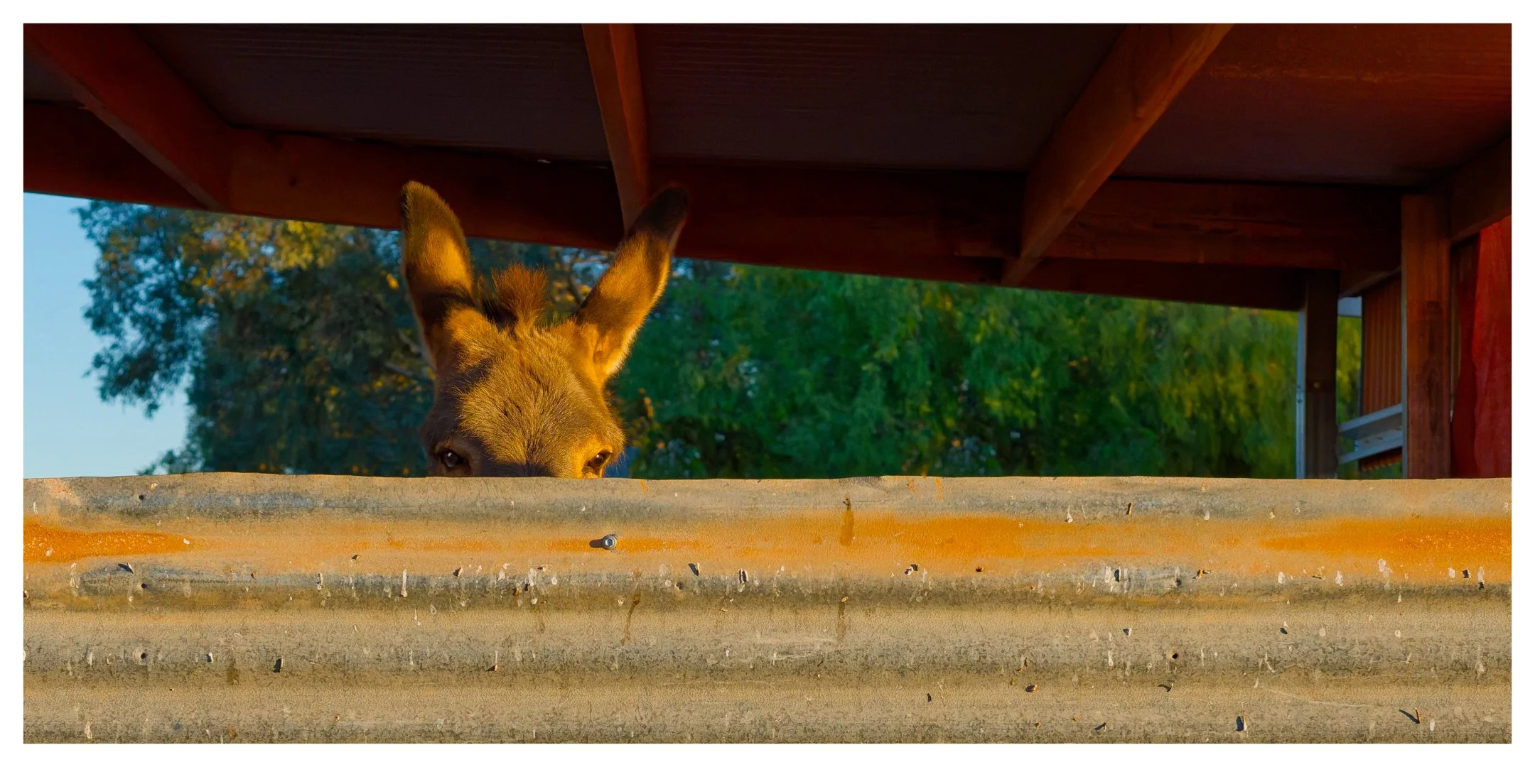 Hiding