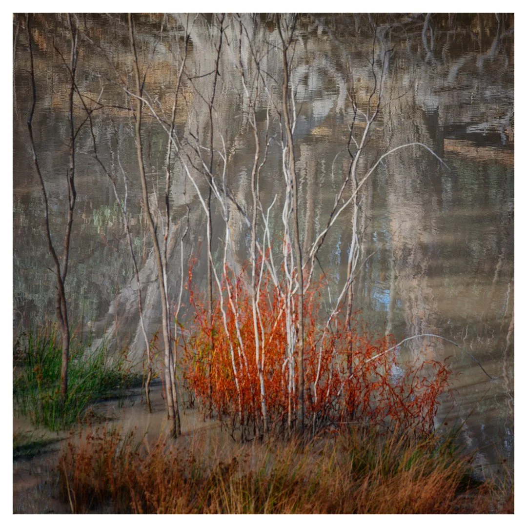 Pooncarie, Darling River