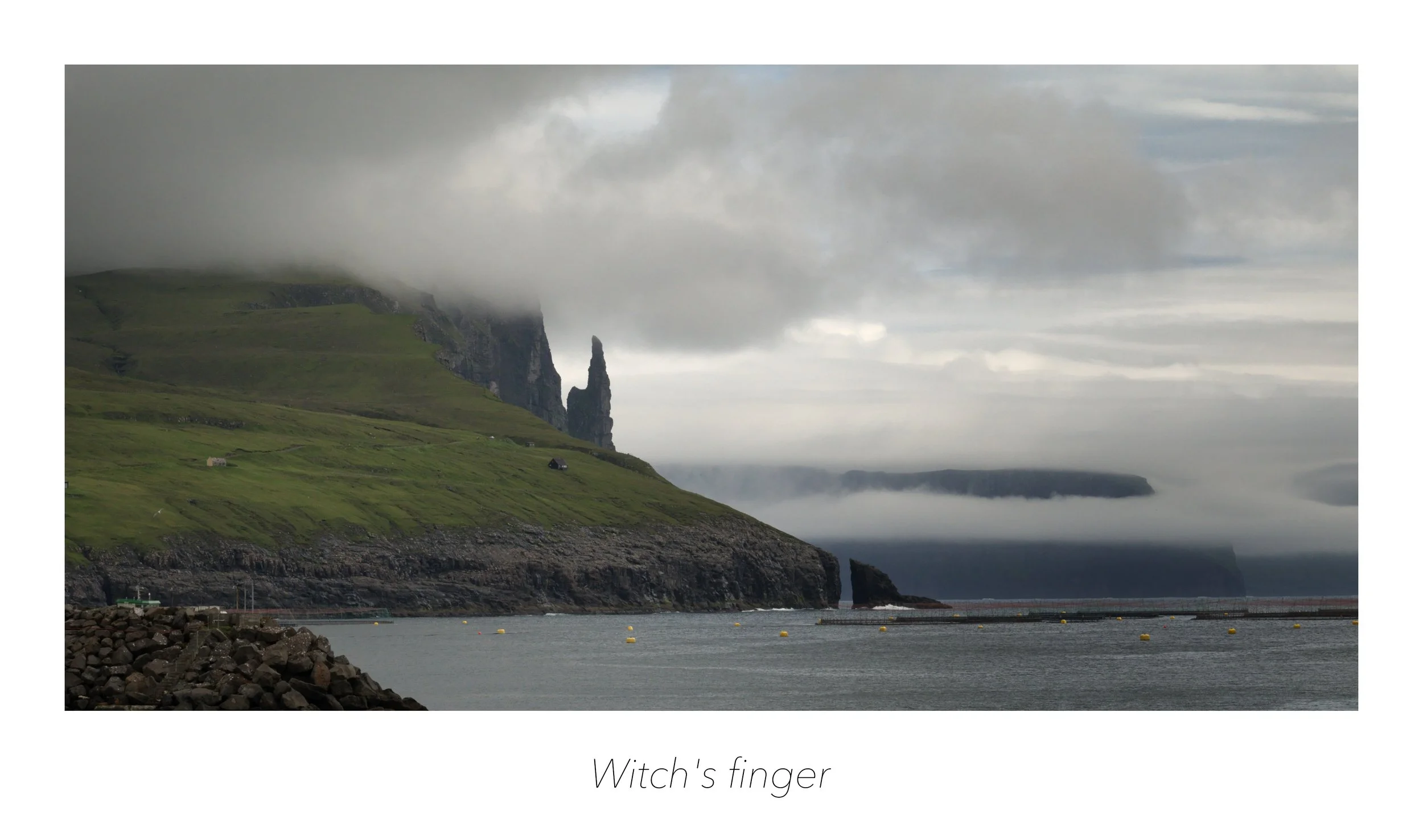B_2639_Witch's_finger_Web.jpg