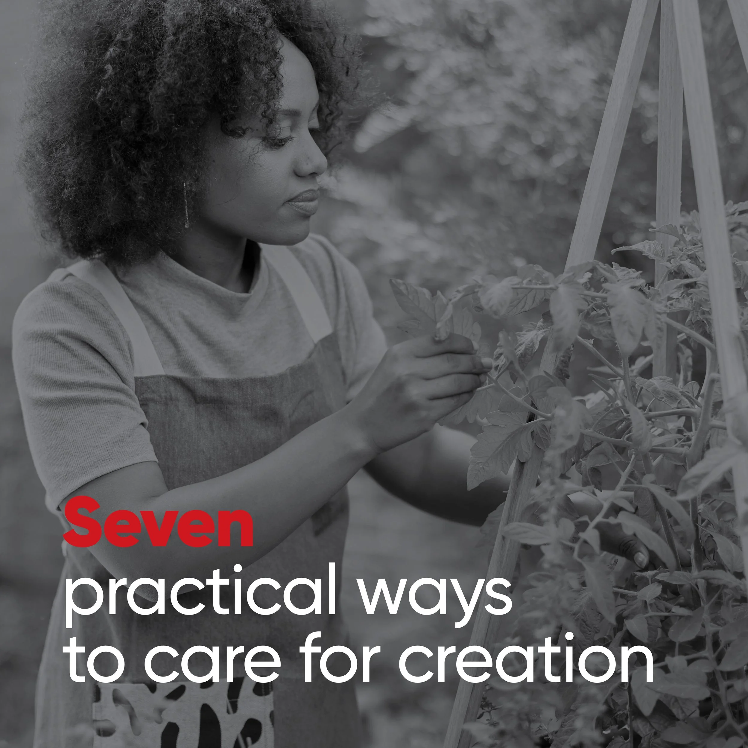 Seven Practical Ways to Care for Creation