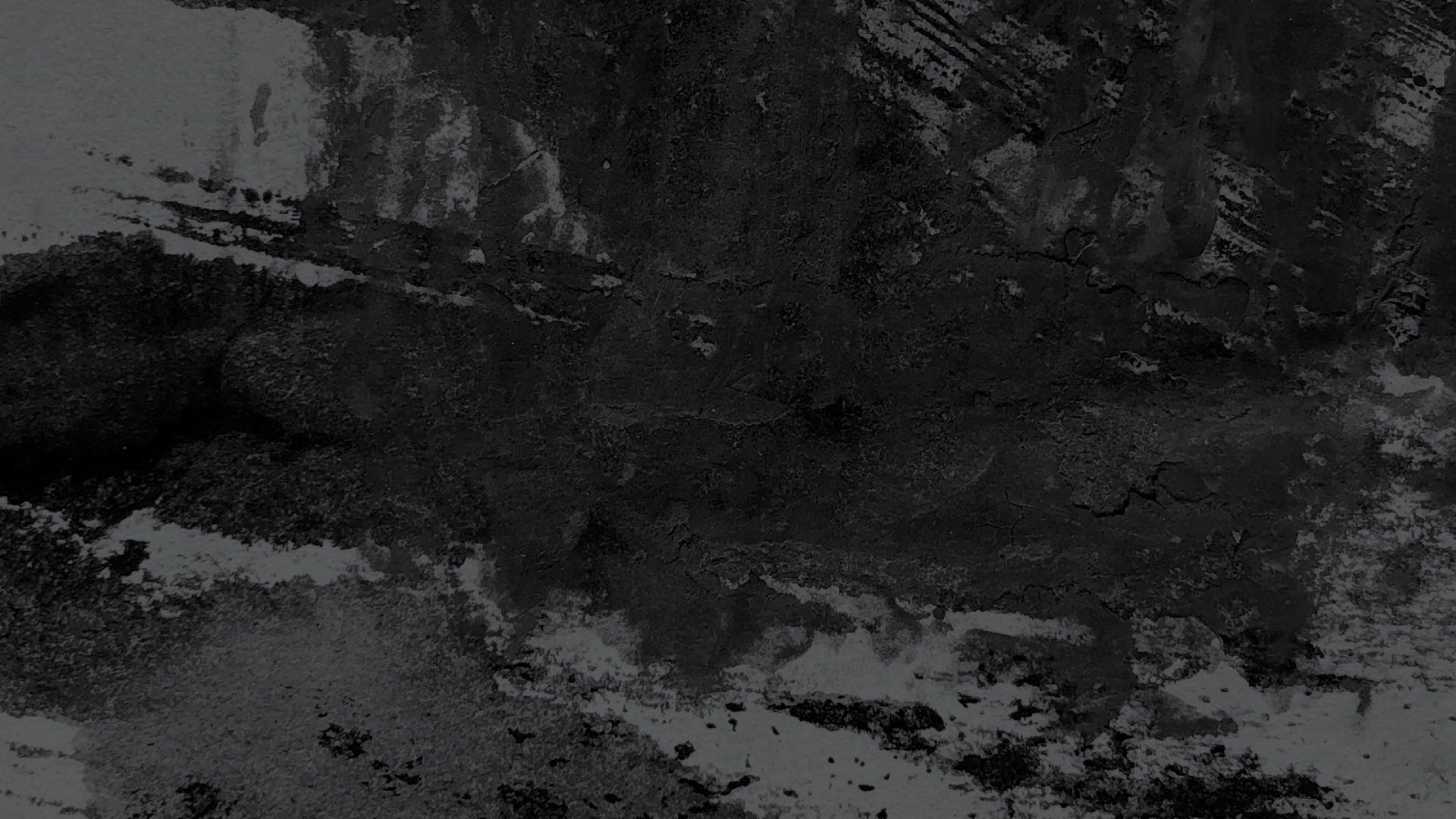 FS - Partnership.png