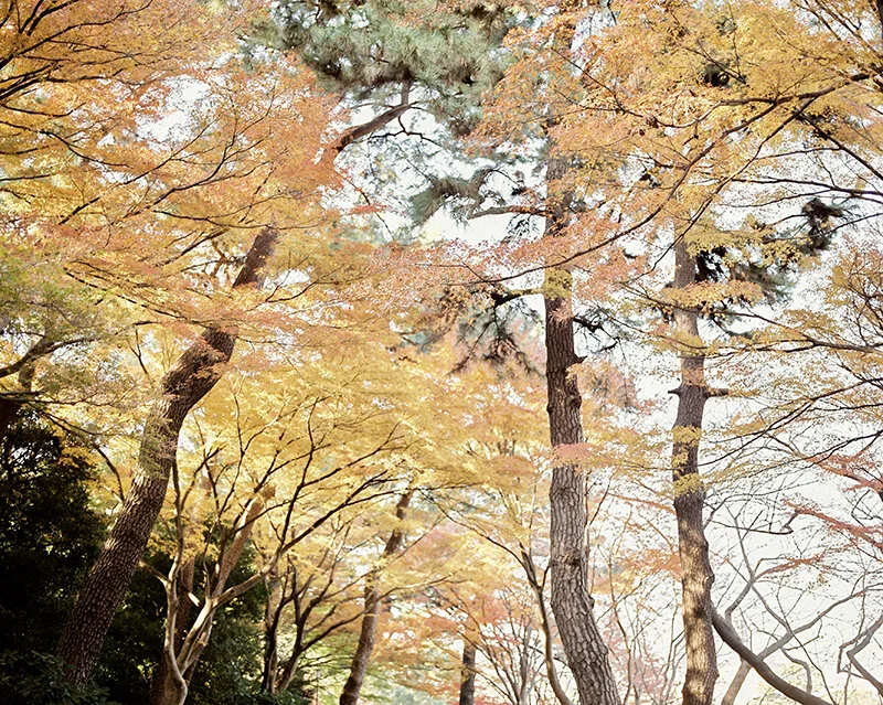 Zeena Tan - Fuji-Tokyo 2019-301.jpeg