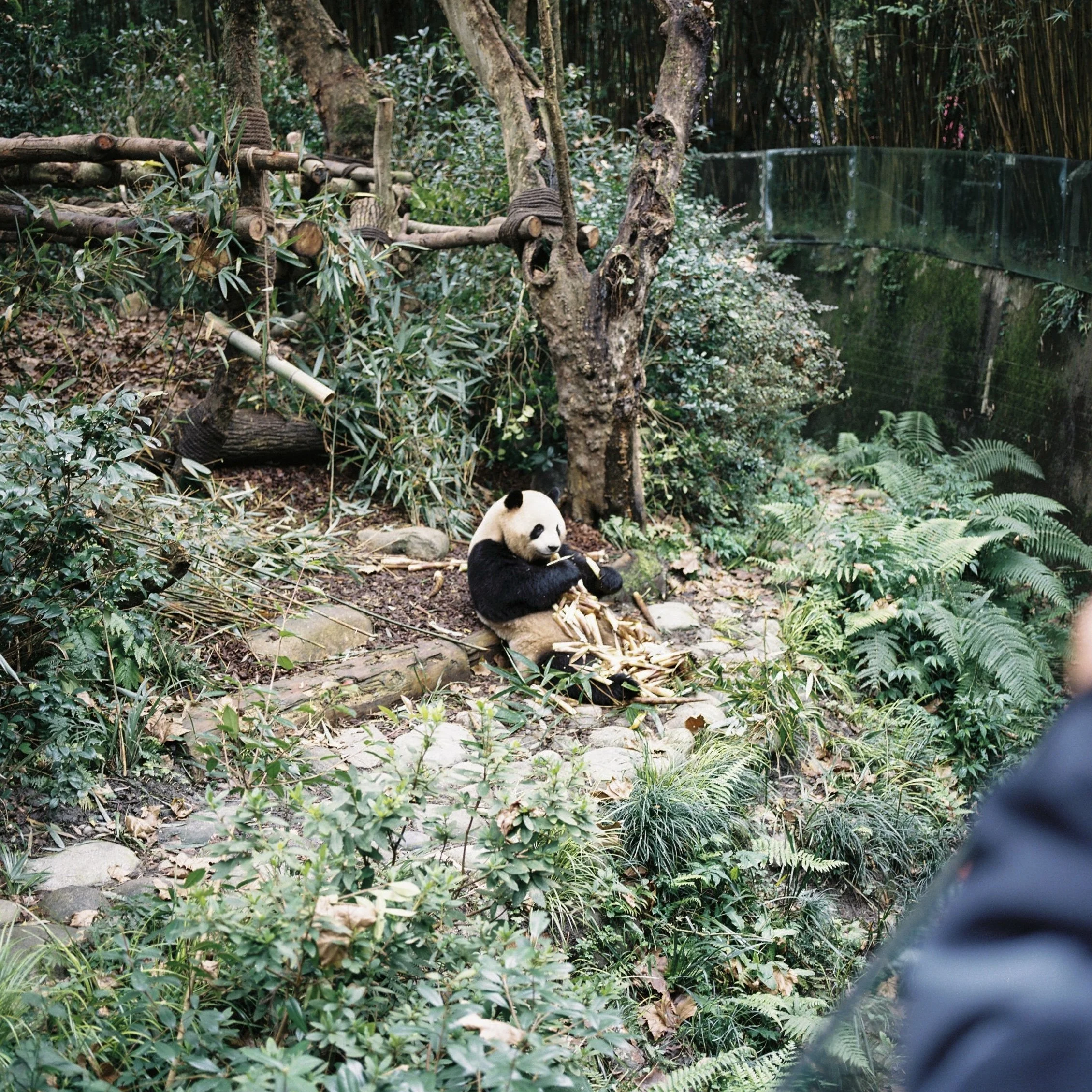China_2023_0185.jpeg