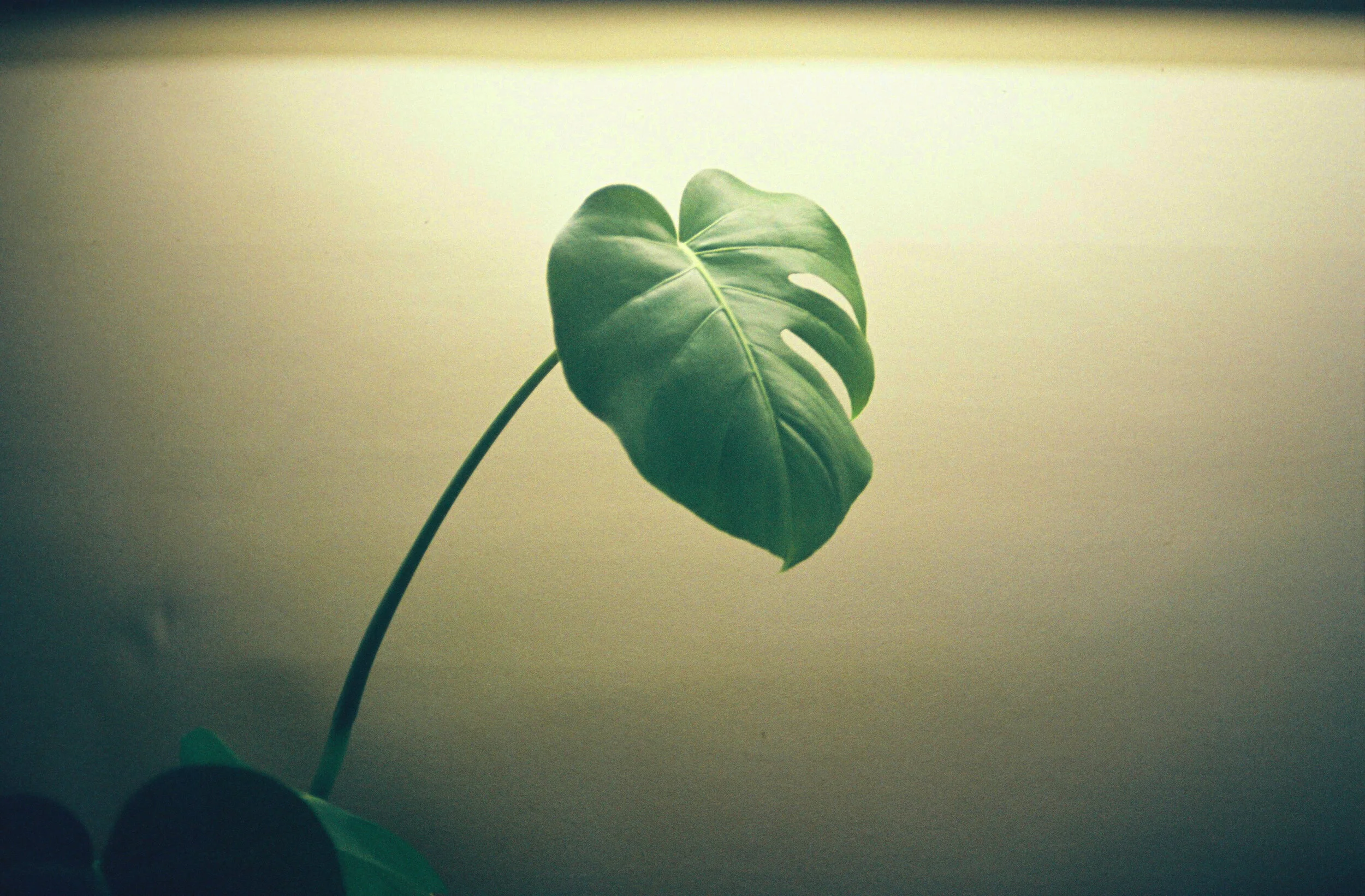 000030 (edited-Pixlr).jpg