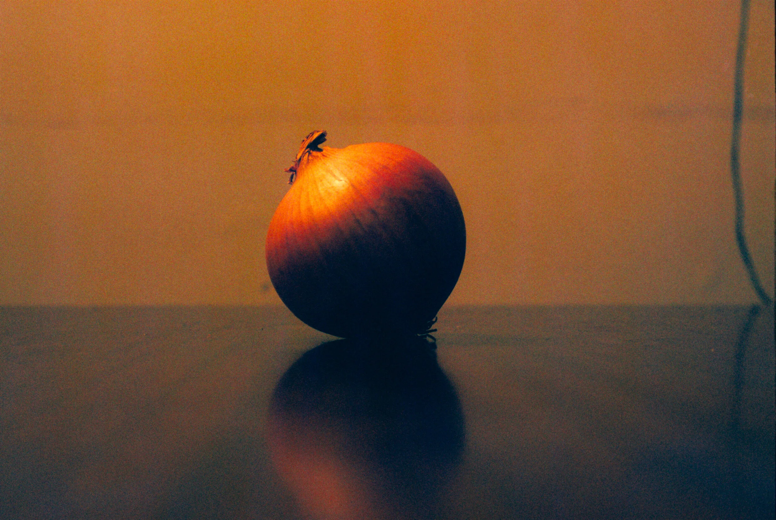 ONION.jpg