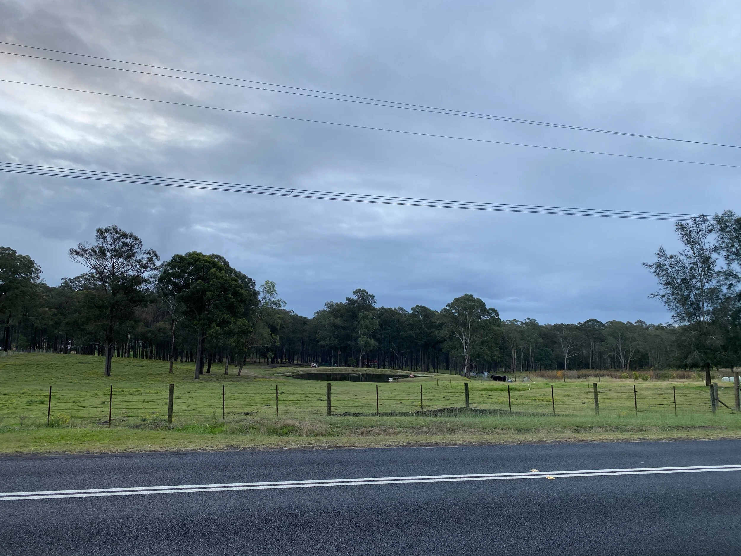 IMG_1810.jpeg