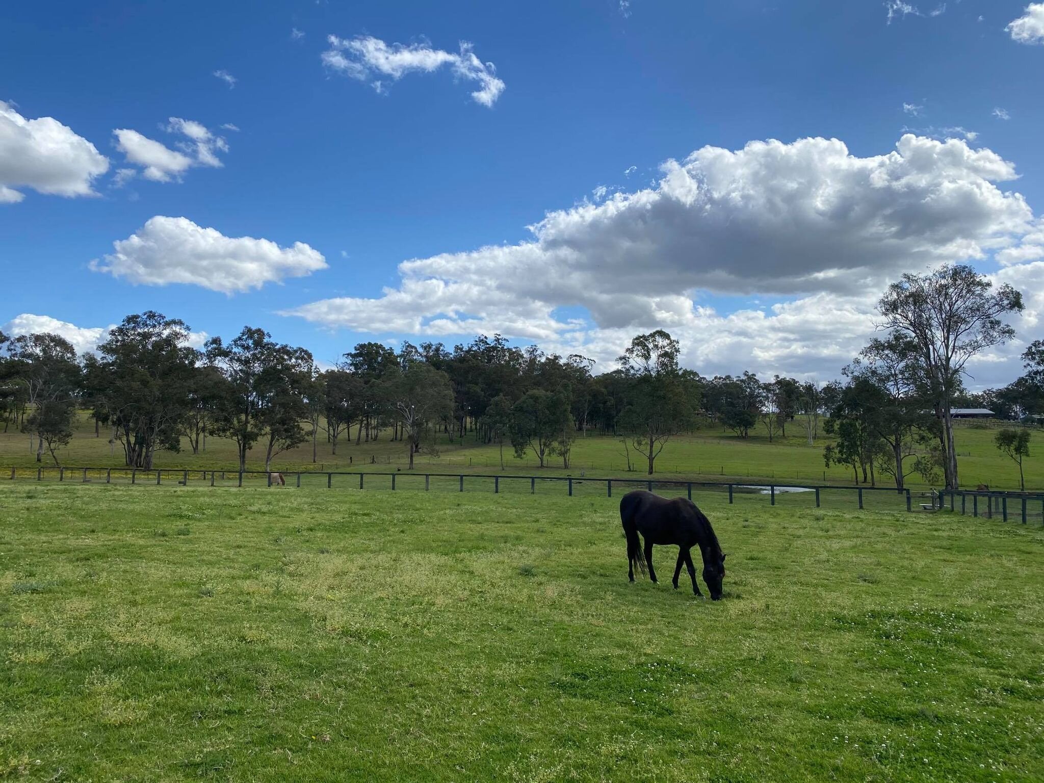 143 putty - paddock.jpg
