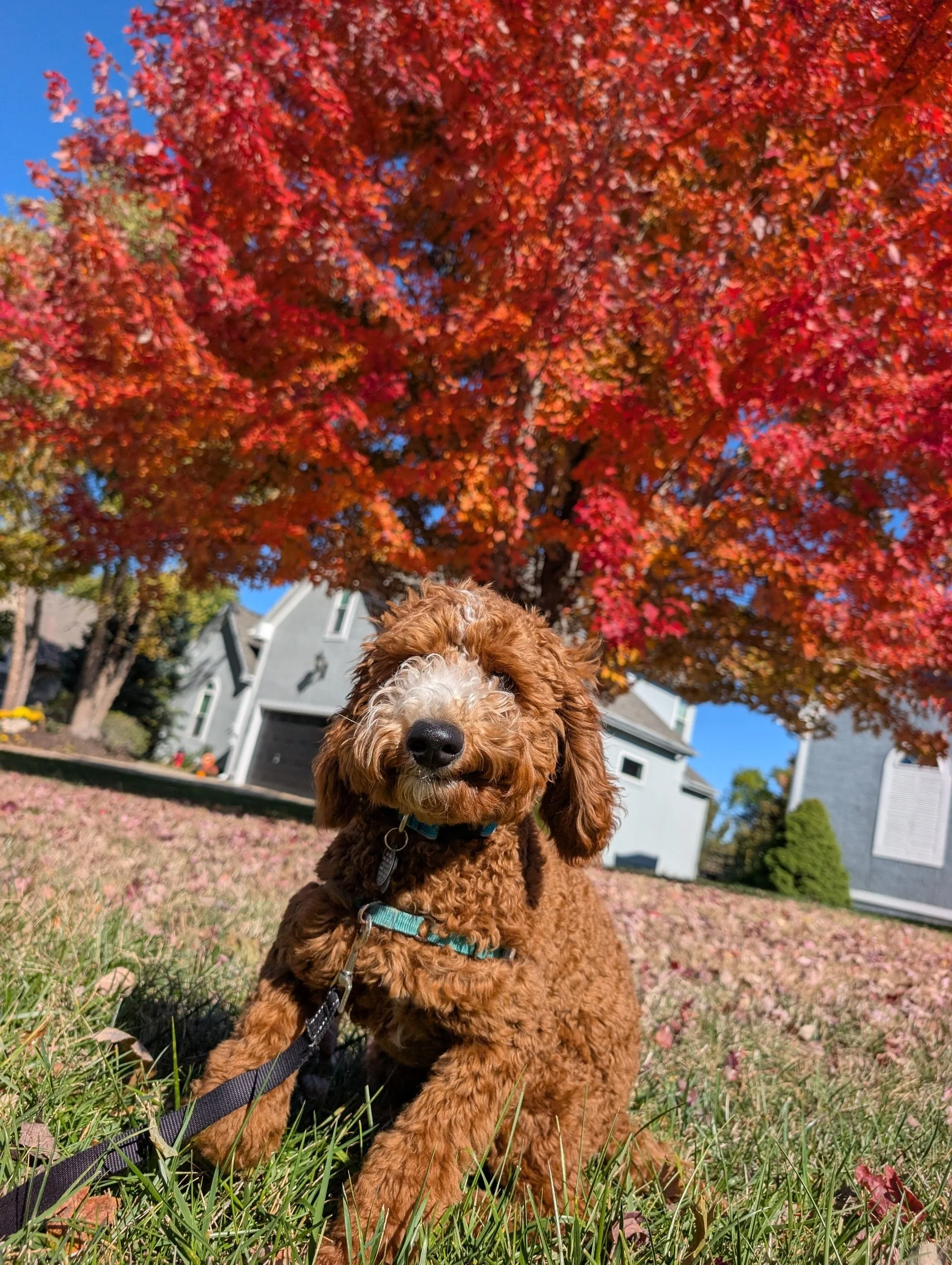 processed_1000074873.jpg