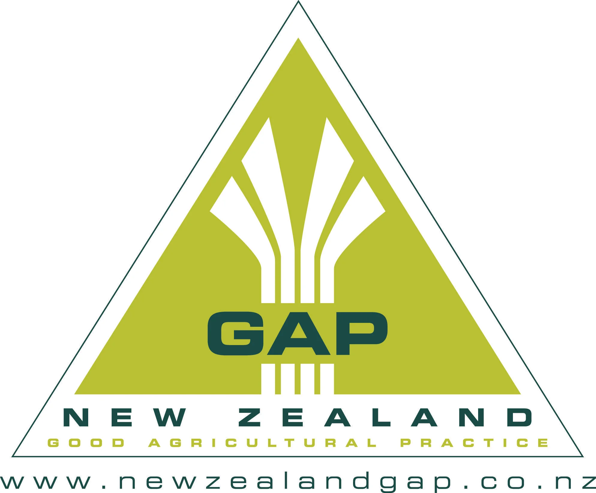nz-gap-logo.jpg