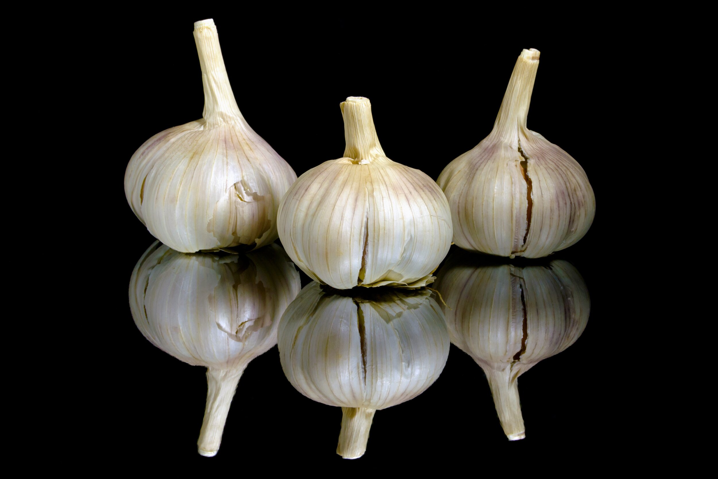 garlic-2345326.jpg