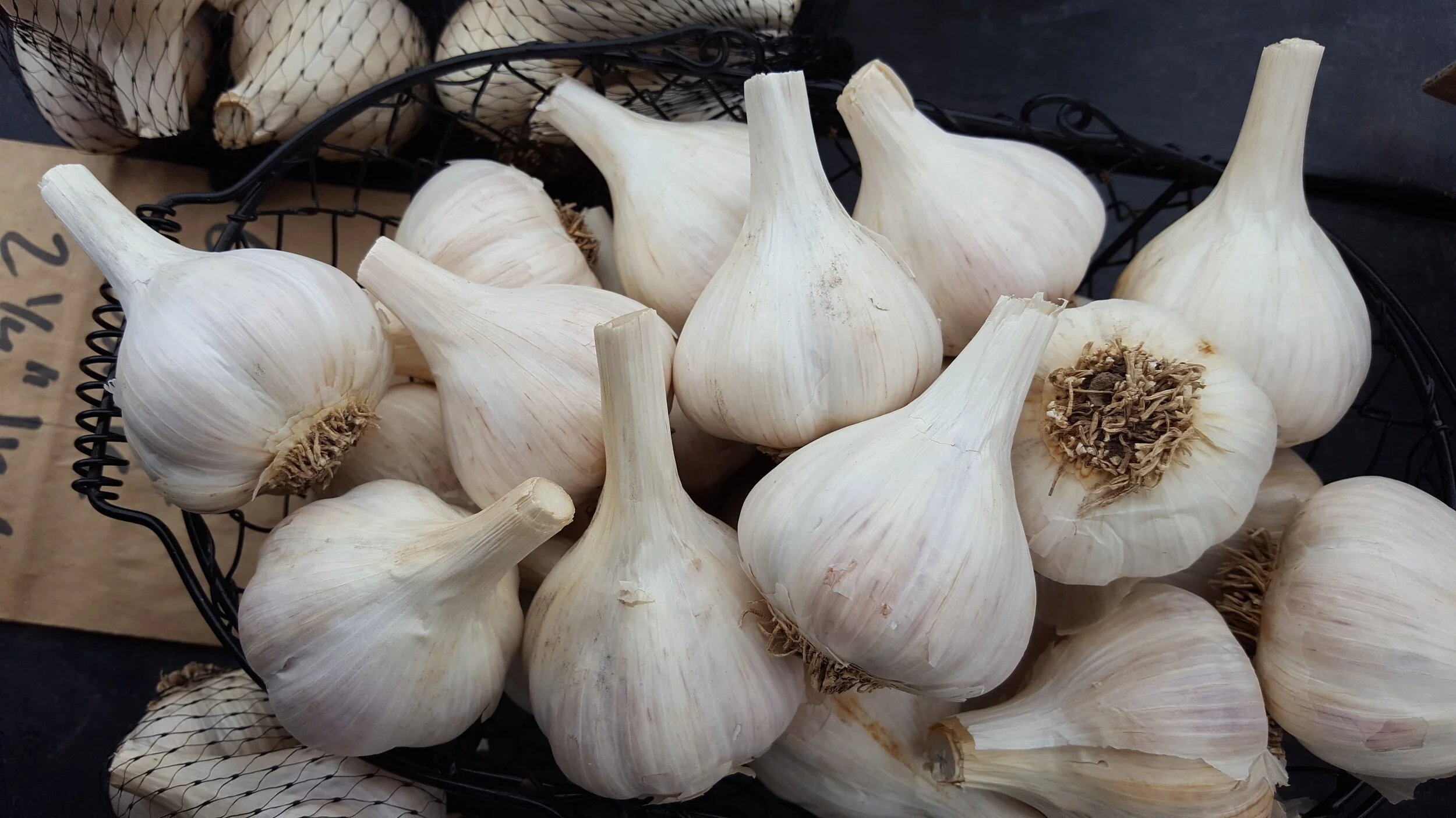 garlic-blog-photo-2.jpg