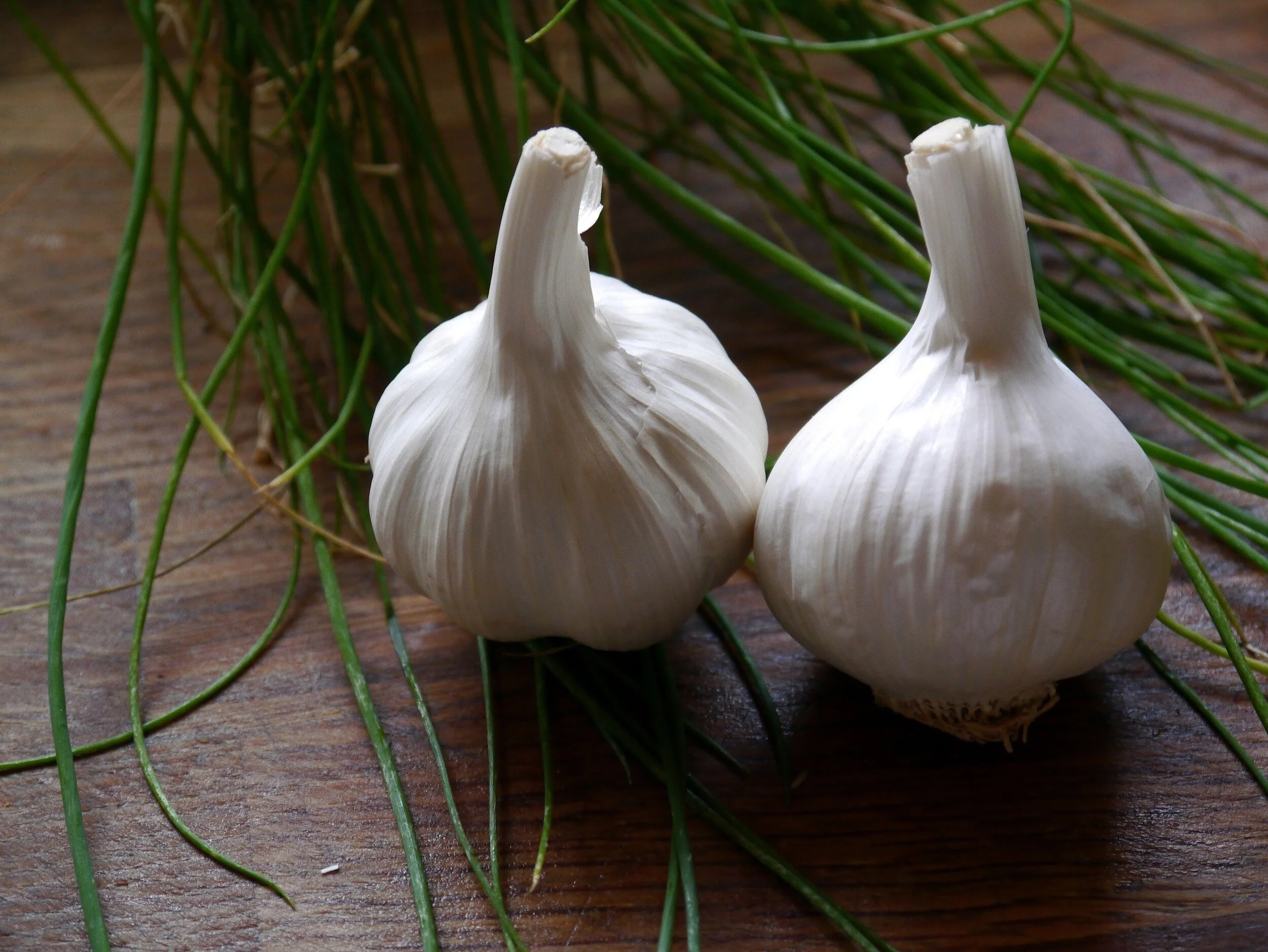 garlic-498634.jpg