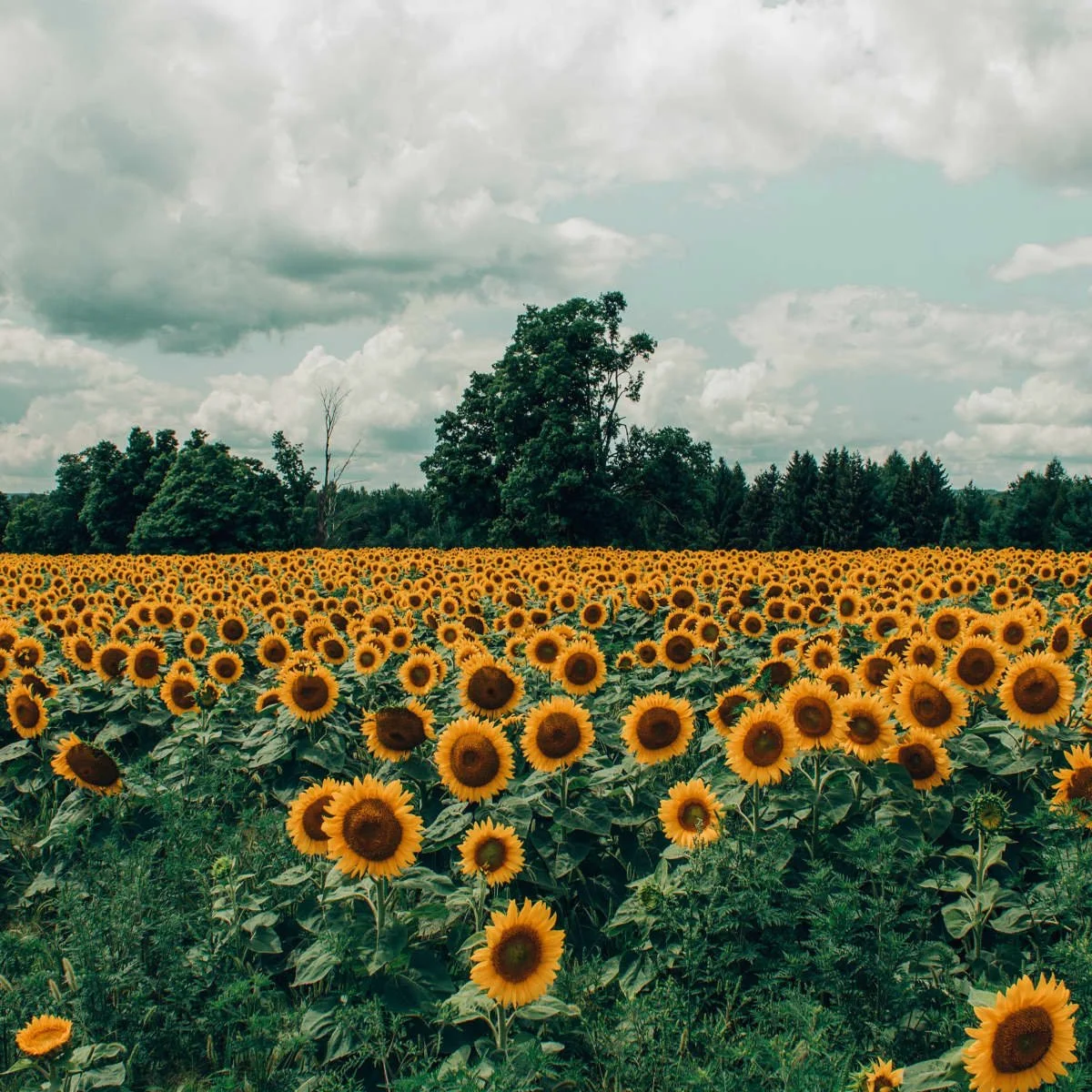 I wouldn't change a thing