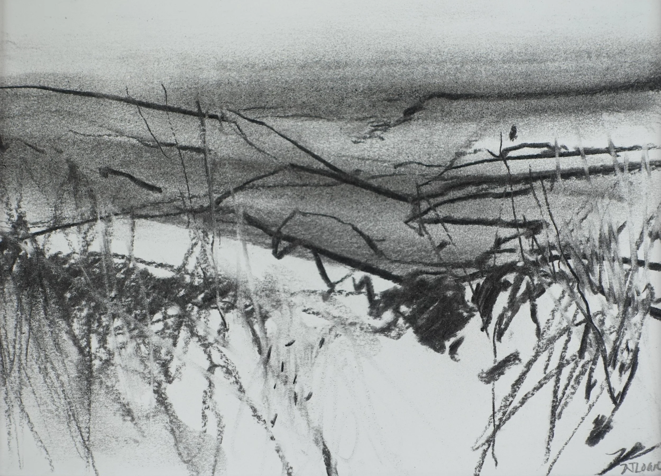 Above Peak Scar Woods Looking Over to Hawnby