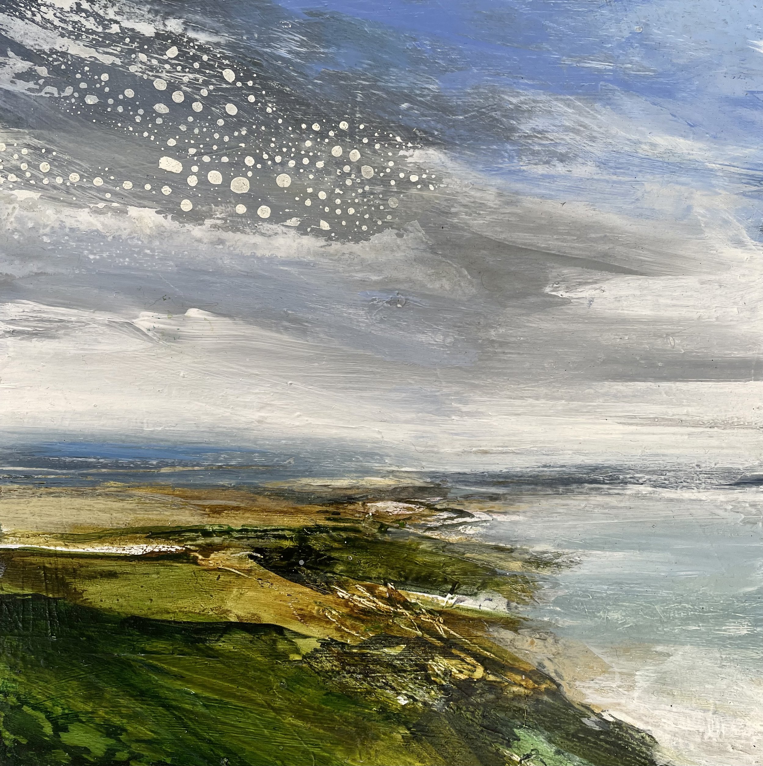 Bird's Eye - Giclee Print