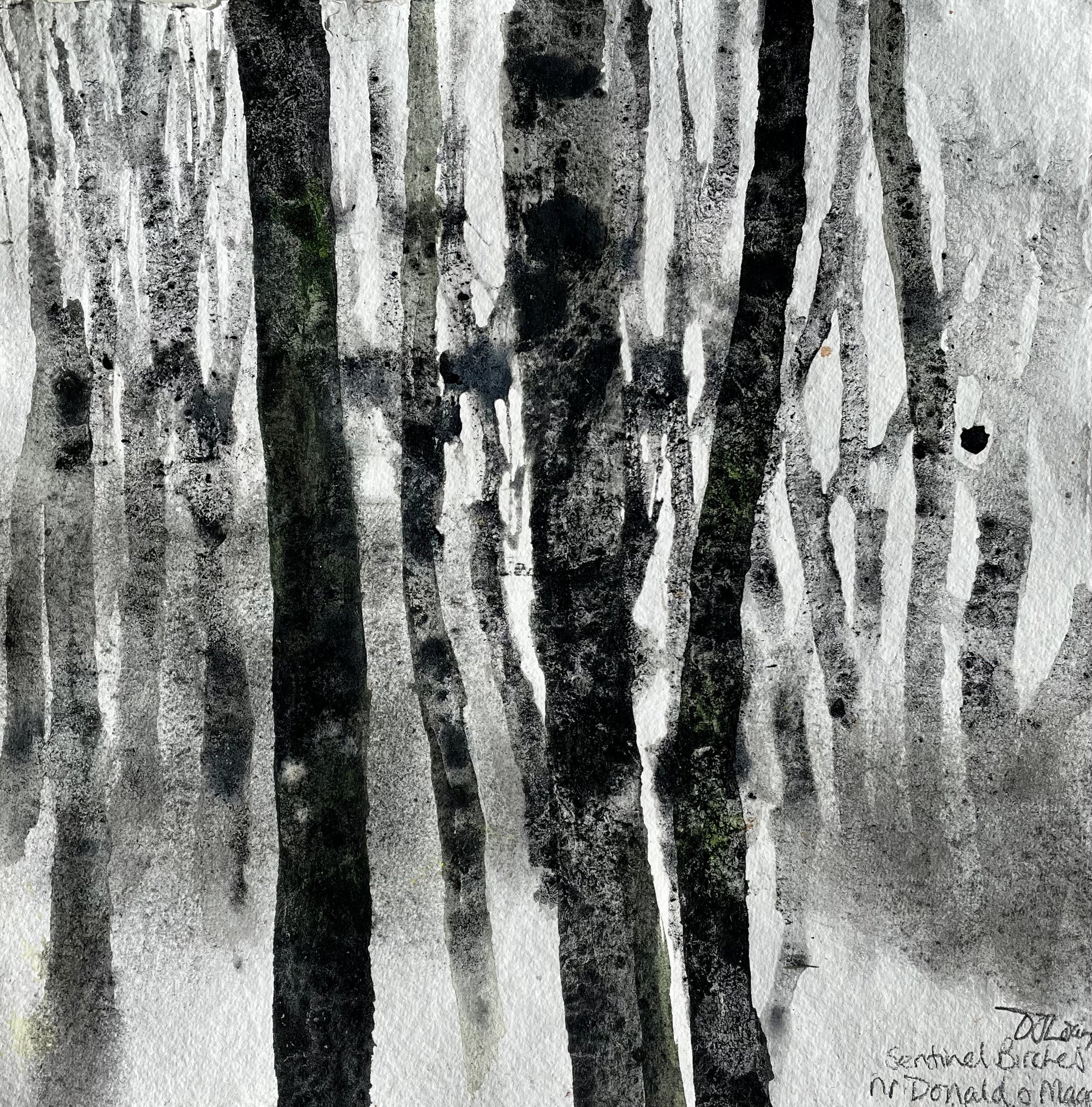 Working From the Wild | 24-25 Oct 2026