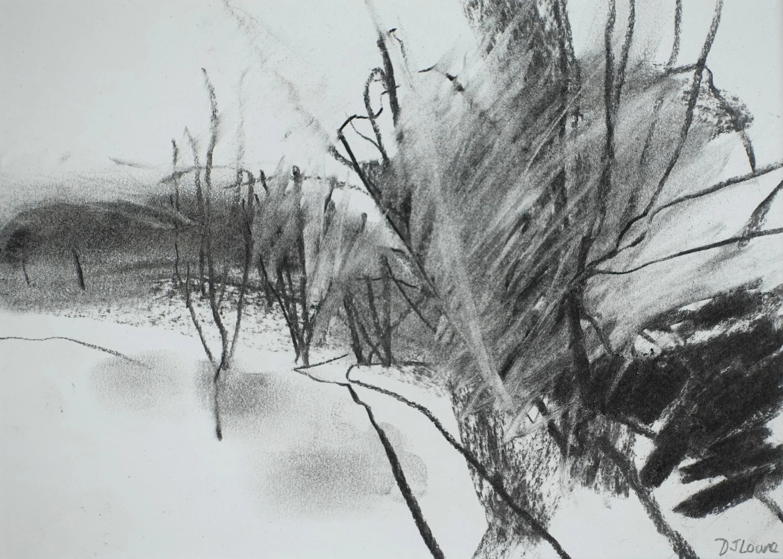 Winter, Pomfret's Wood