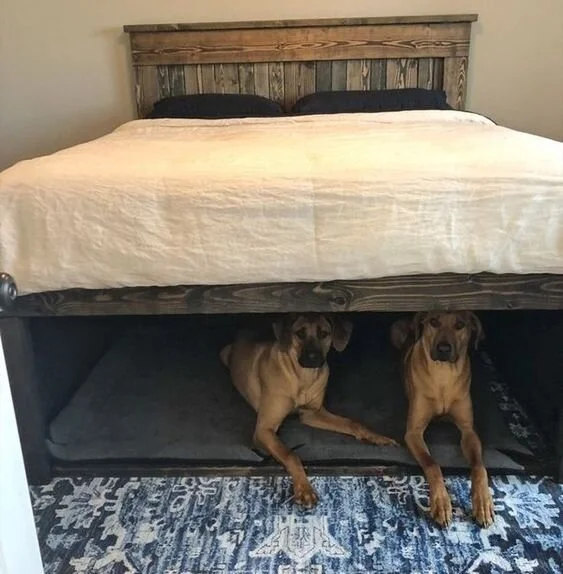 bed frame with dog bed underneath