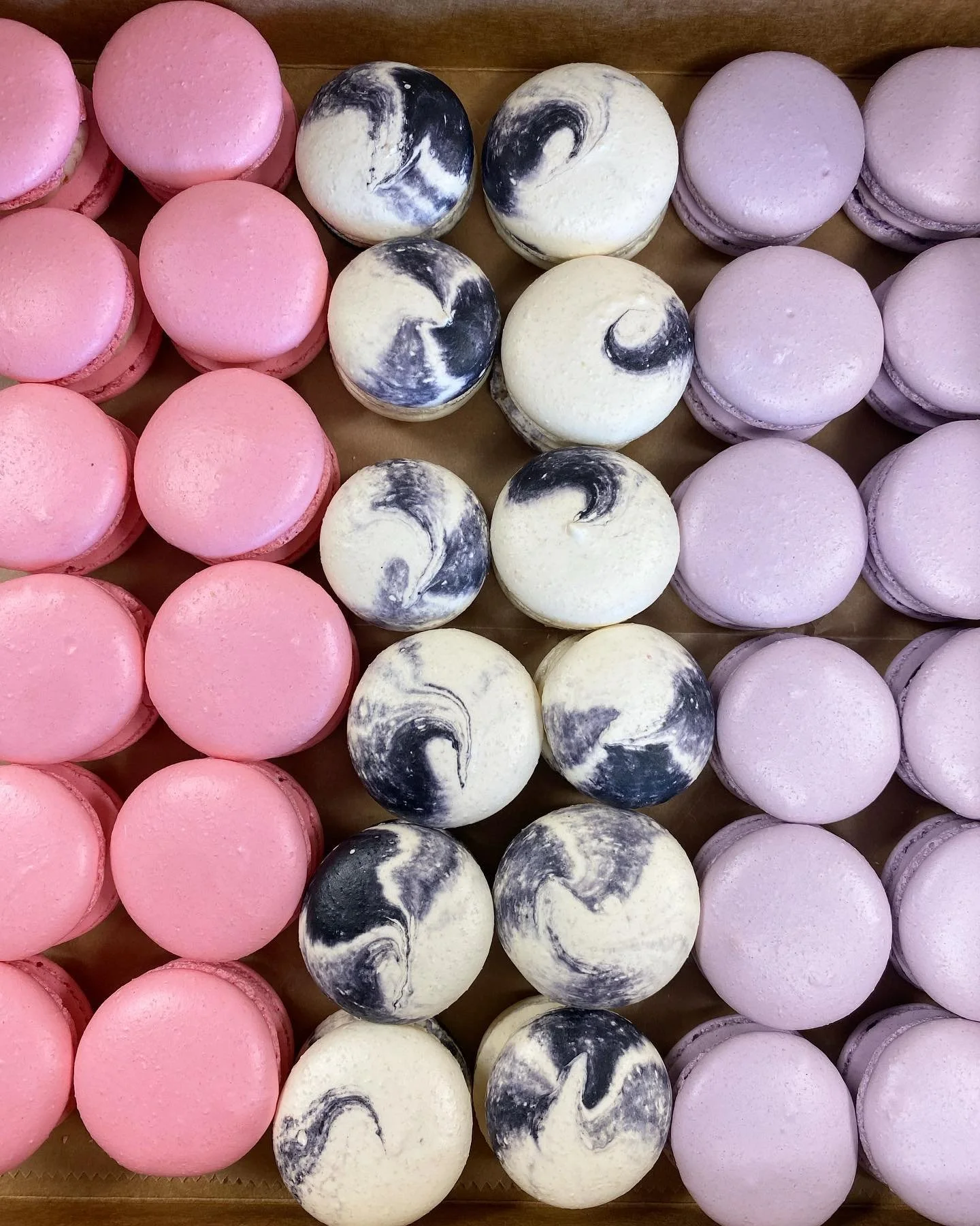 macarons3.jpg