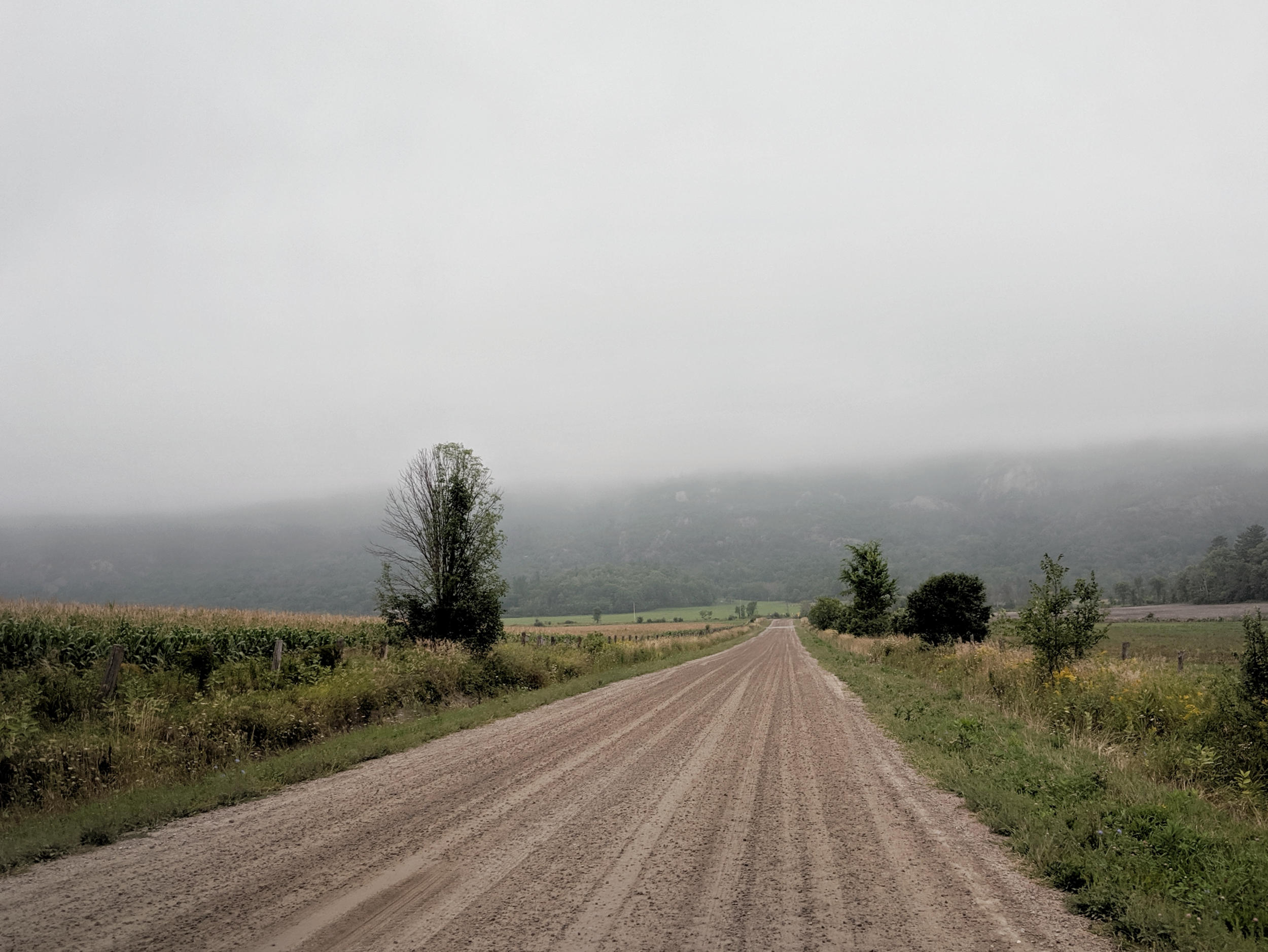 A dirt road running through a rural landscape with fields of crops and trees, with mountains and a cloudy, overcast sky in the background.