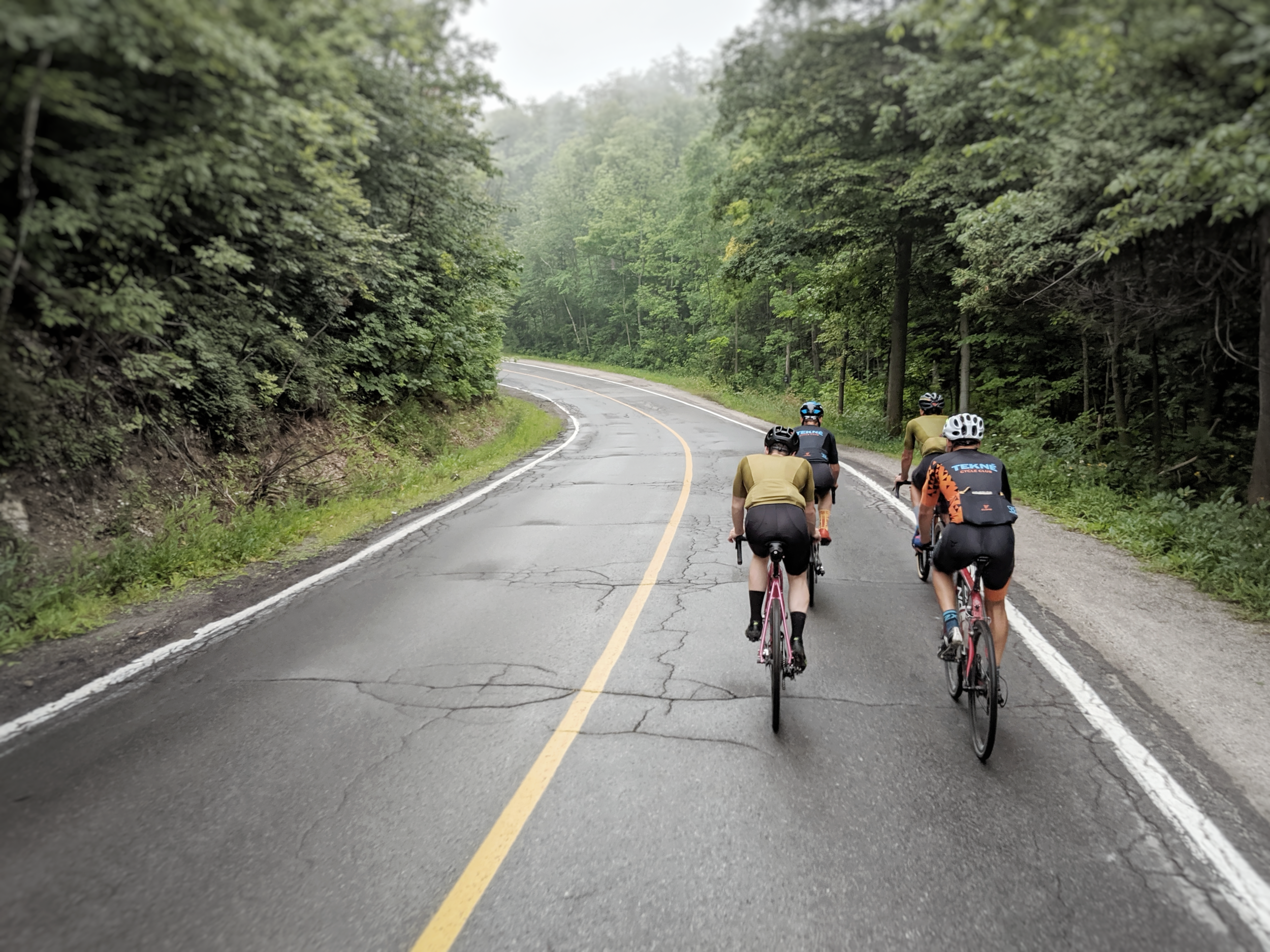 Four cyclists riding on a winding forested road.