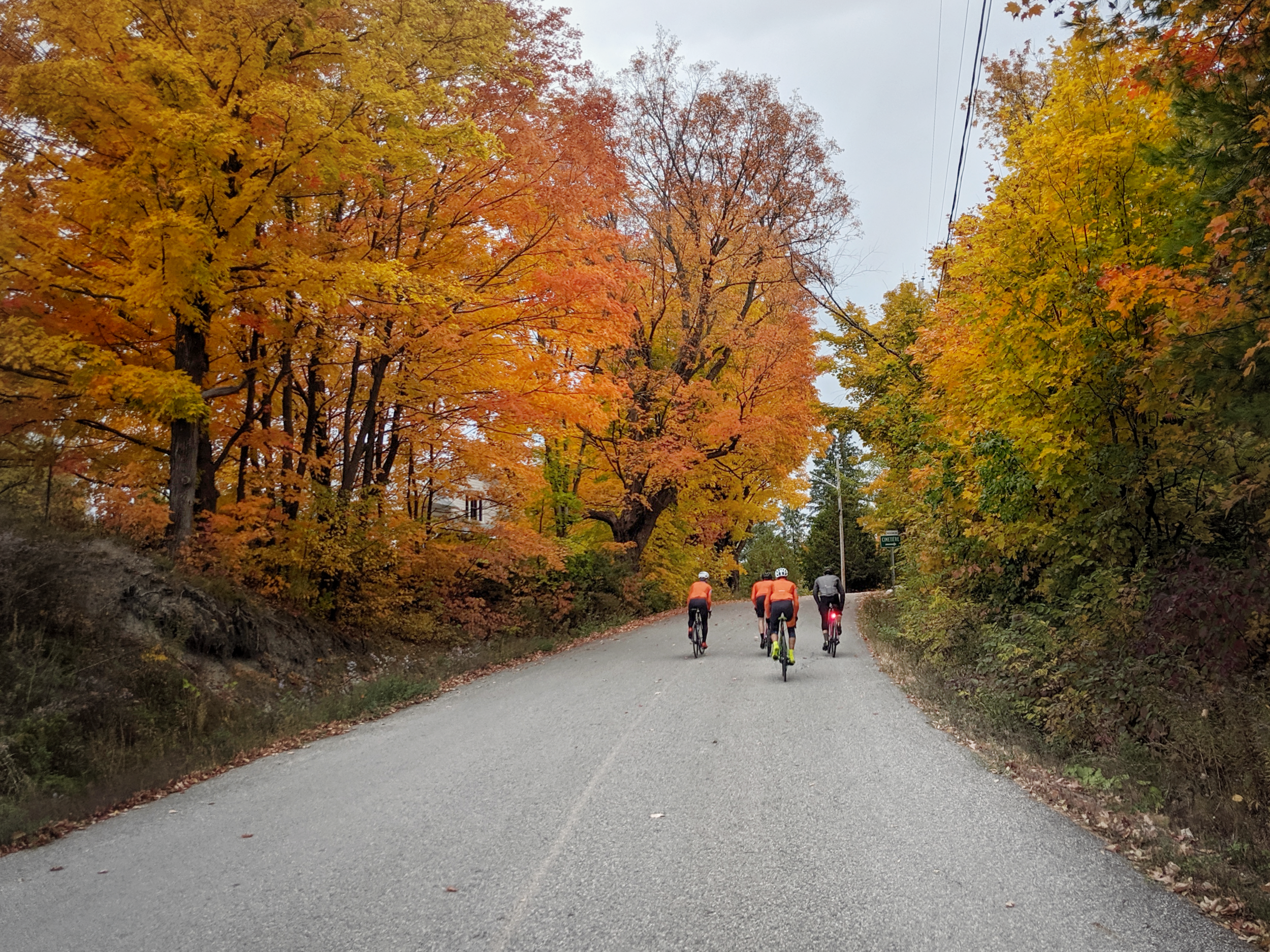 Four cyclists riding on a tree-lined road during autumn with orange and yellow leaves.