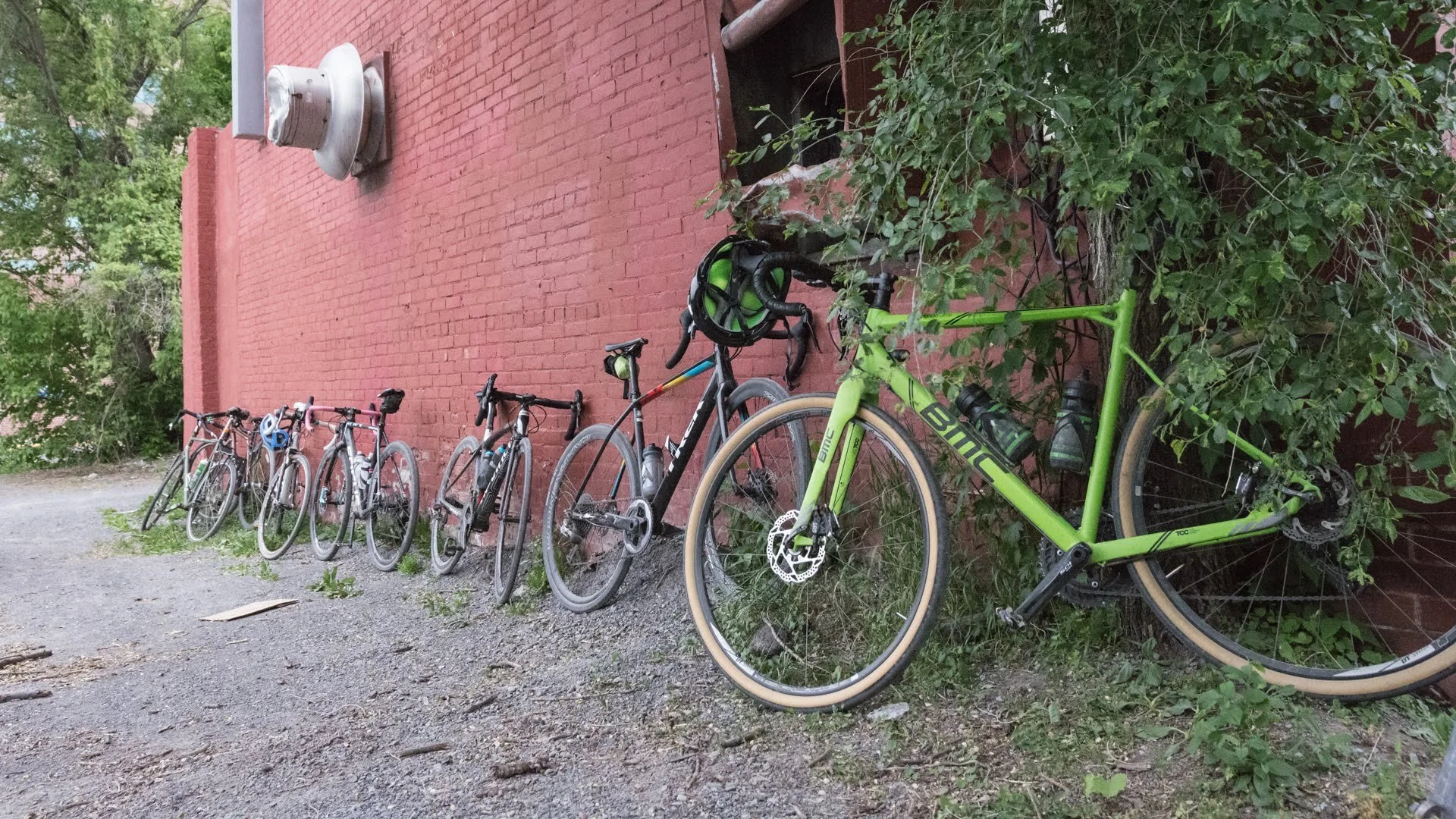 Six bicycles are parked against a red brick wall, with greenery and trees in the background. One bicycle in the foreground has a bright green frame, and the others are darker or lighter colors. A helmet hangs on one of the bikes.