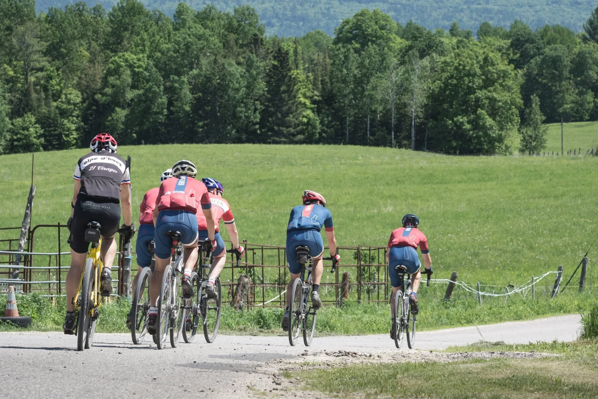 Group of cyclists riding uphill on a rural road with green fields and trees in the background.