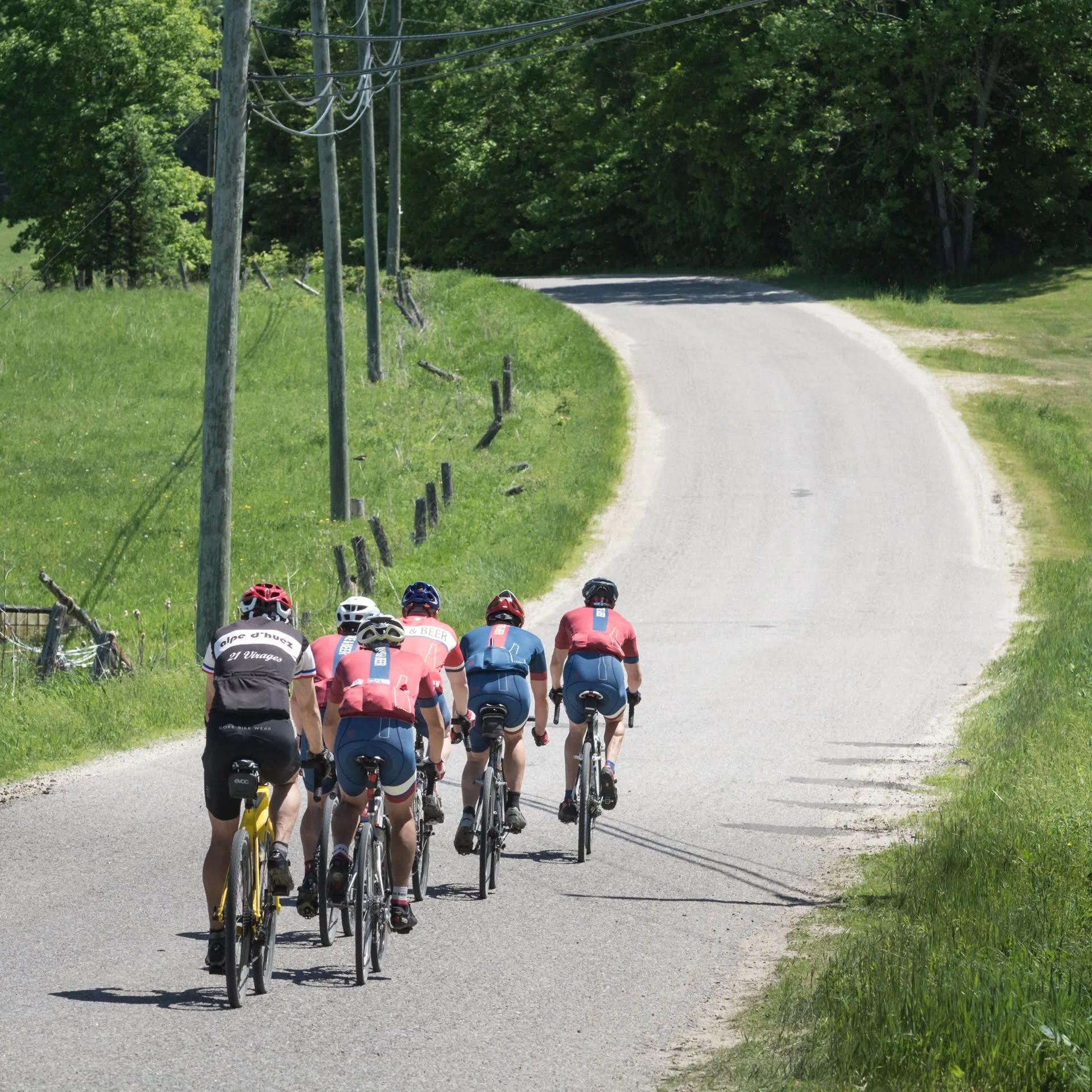 A group of seven cyclists riding on a winding rural road surrounded by green grass and trees.