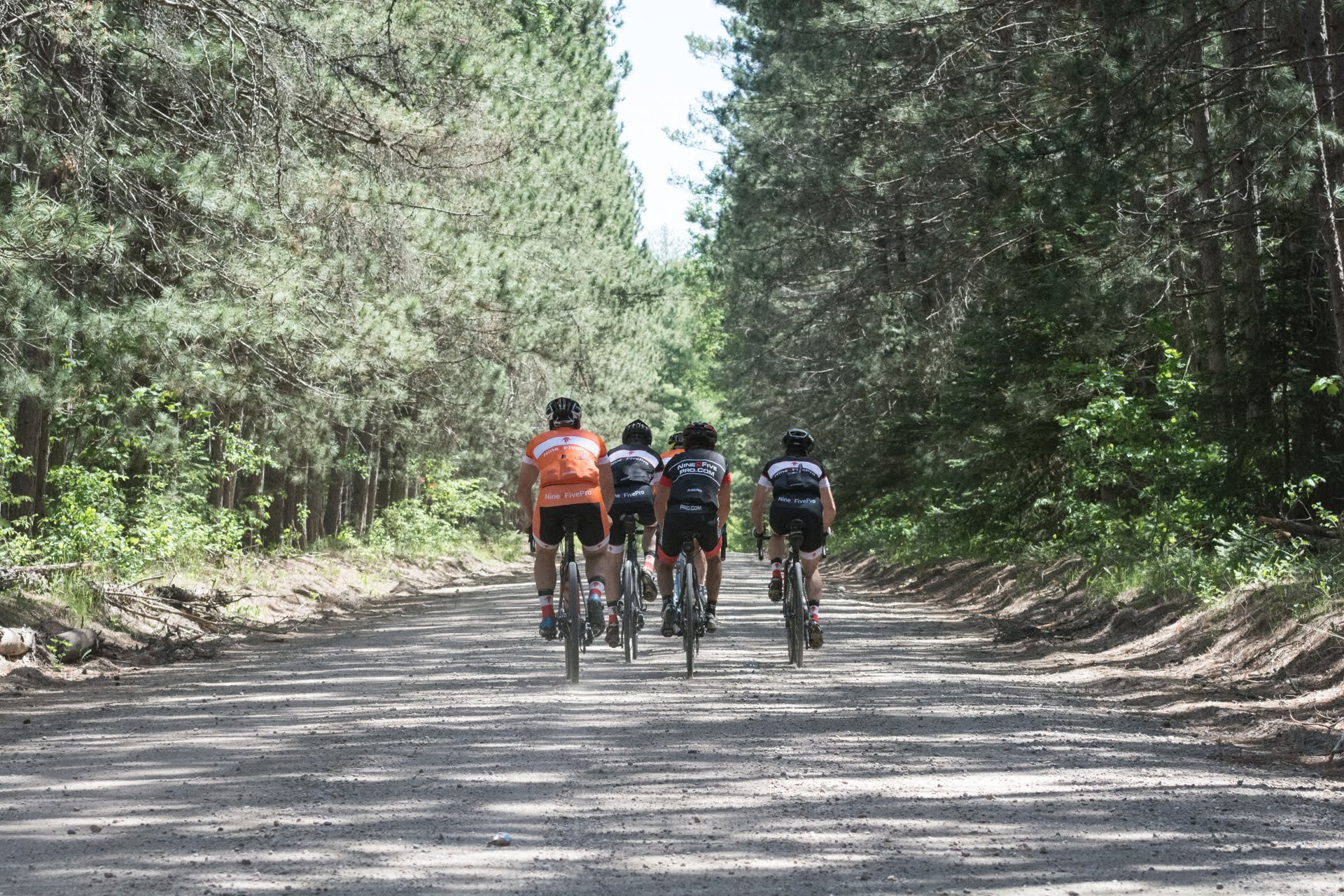 Four cyclists riding on a dirt trail through a dense forest with tall pine trees on either side.