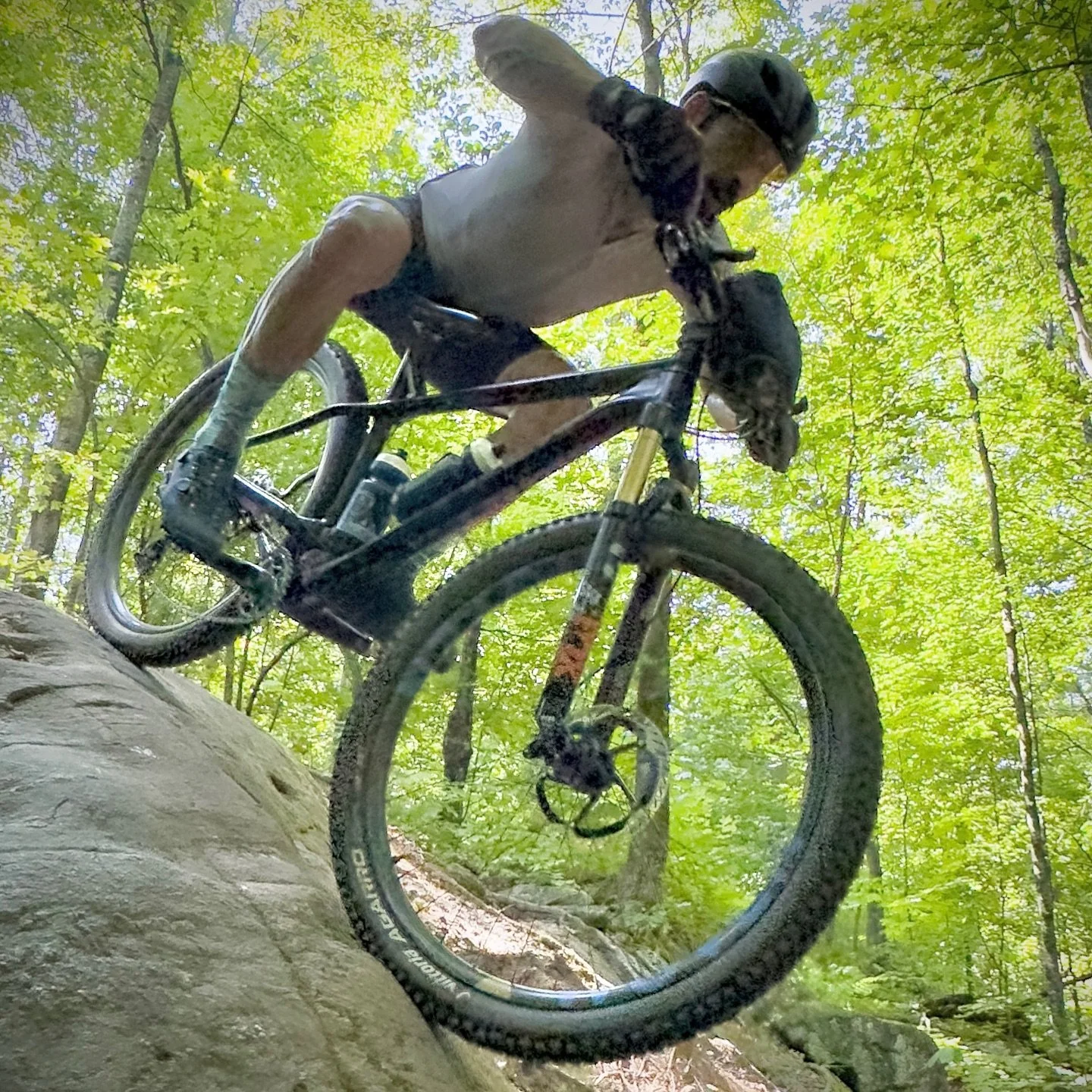 Despite the challenges of 35C heat, the good times continue to roll.