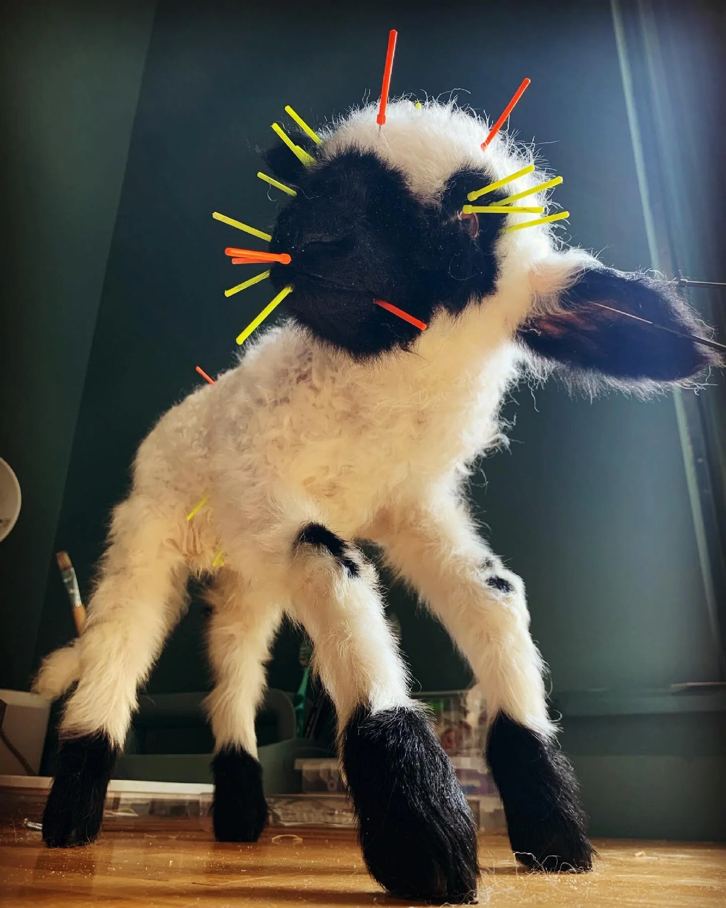 Tomorrow is another day!

#taxidermy #taxidermie #taxidermyart #opgezettedieren #lammetjes #haarlem #blackandwhite