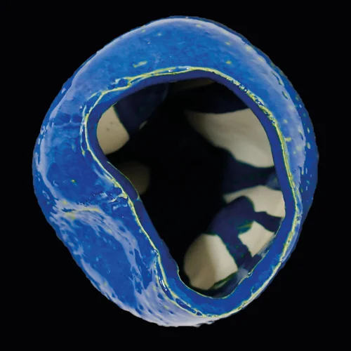 Get Portfolio Ling Qin For Android Free Wallpaper Portfolio Ling Qin Free