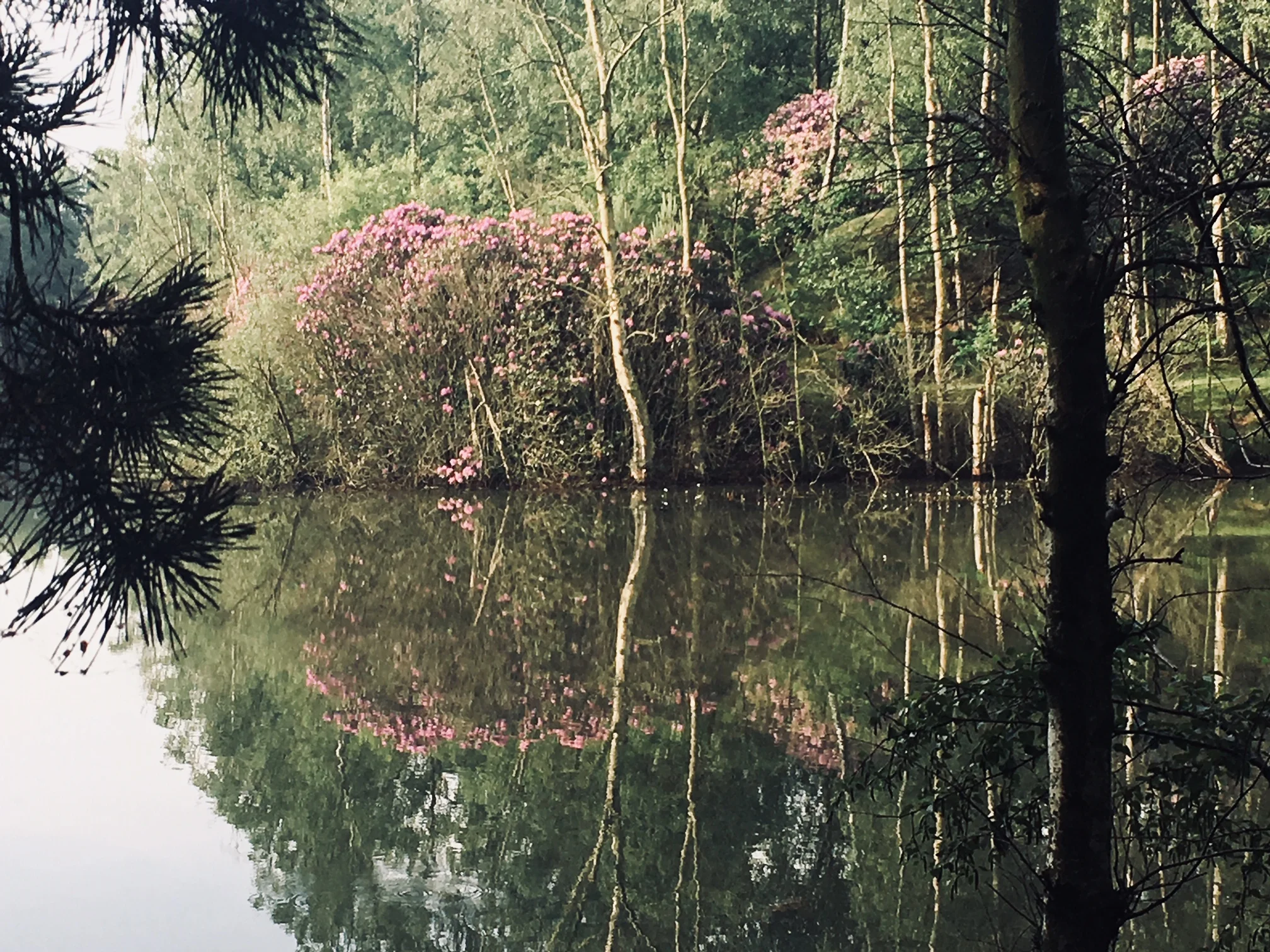 Meditatie is een kunstvorm